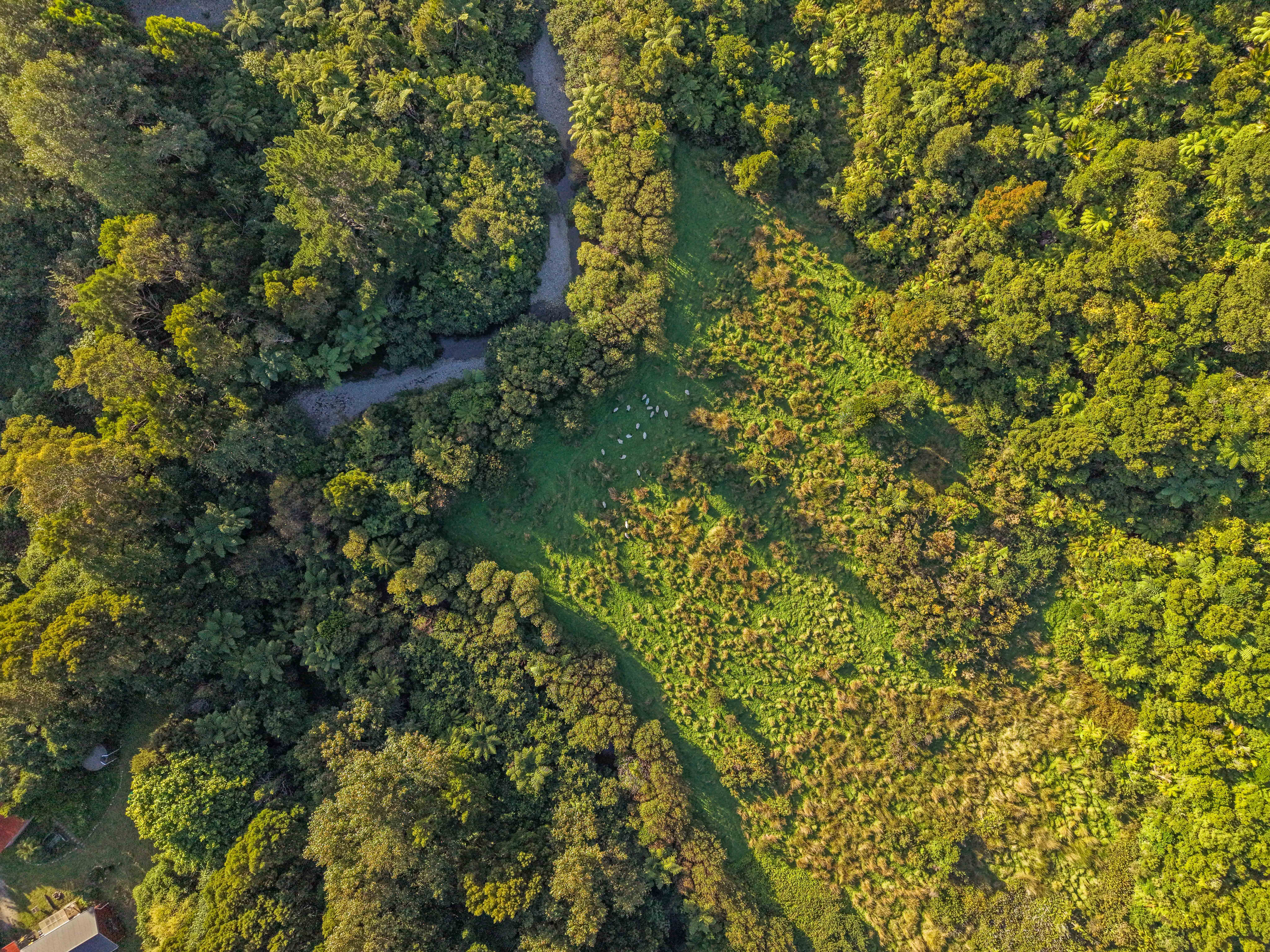  Ultimate West Coast Escape - 物件實景