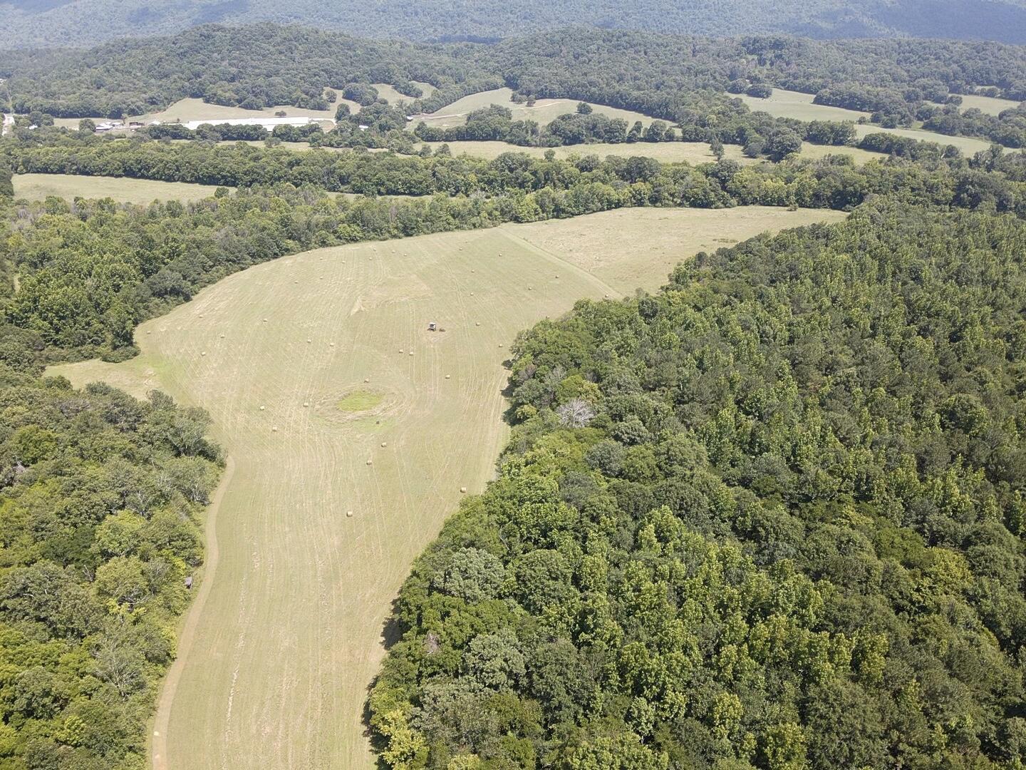 Bryant, Alabama, 35958, United States, ,Land,For Sale,1982684