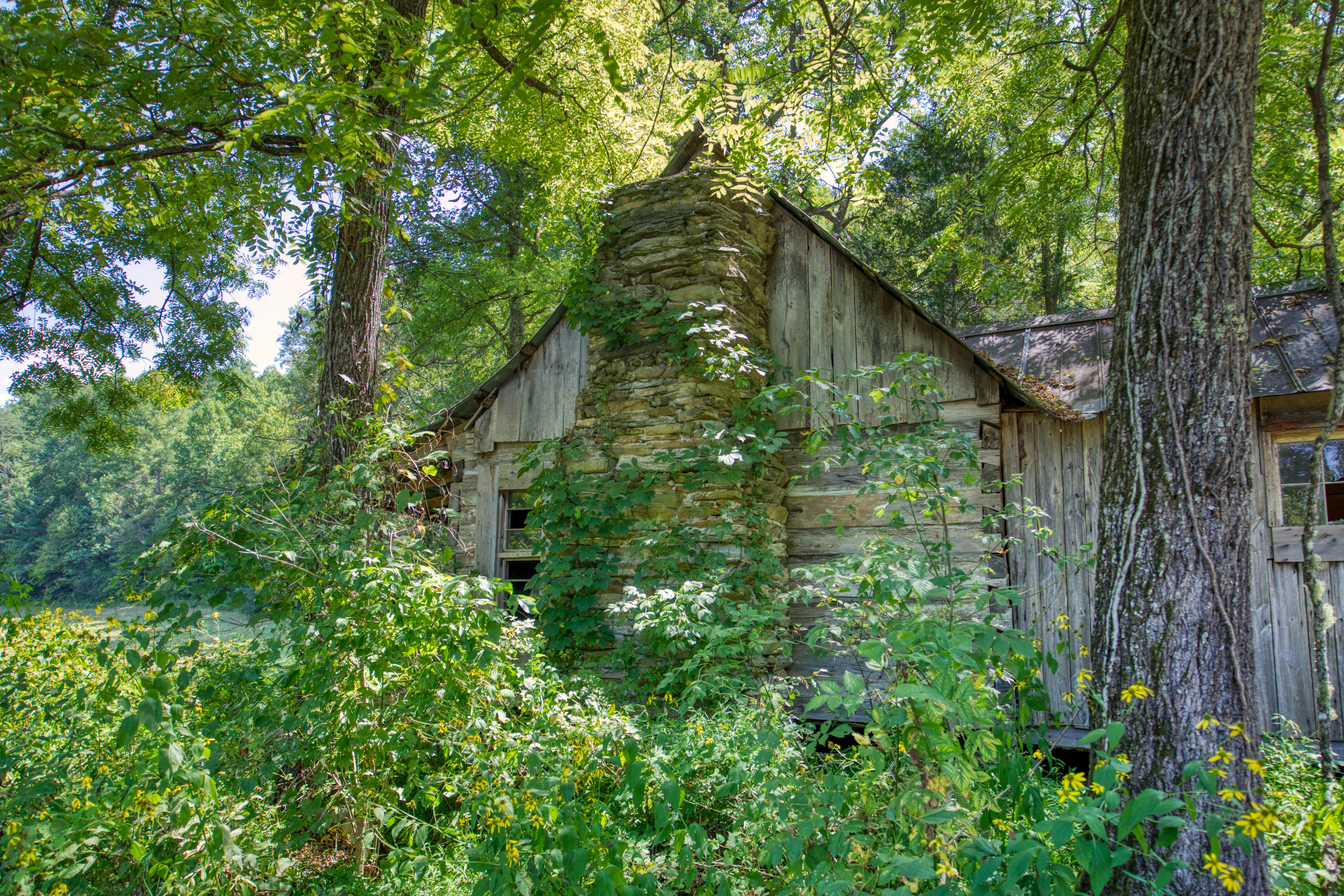  Belcher Loop, Tellico Plains, TN 37385 - 物件實景