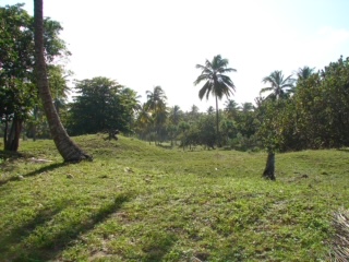 Sabaneta, DO, ,Land,For Sale,1617326
