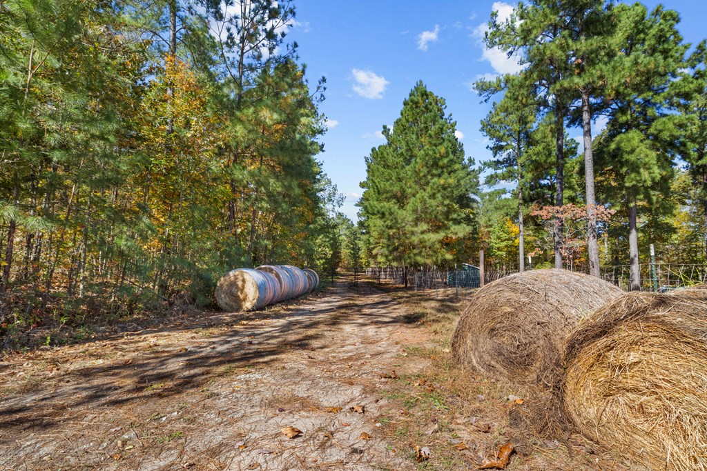 Rice, Virginia, 23966, United States, 3 Bedrooms Bedrooms, ,2 BathroomsBathrooms,Residential,For Sale,1982406