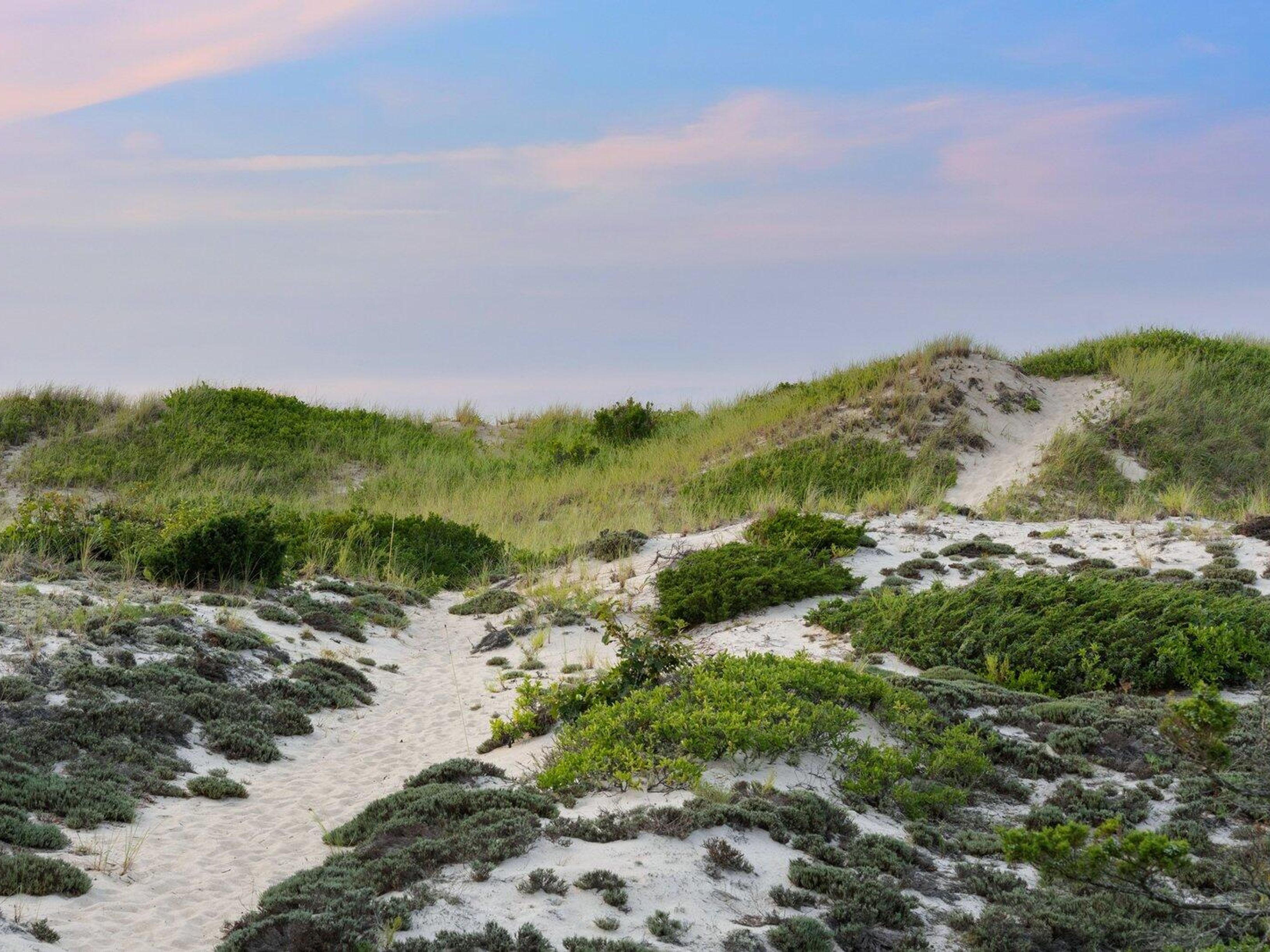  102 Sesuit Neck Road, East Dennis, MA, 02641 - 物件實景