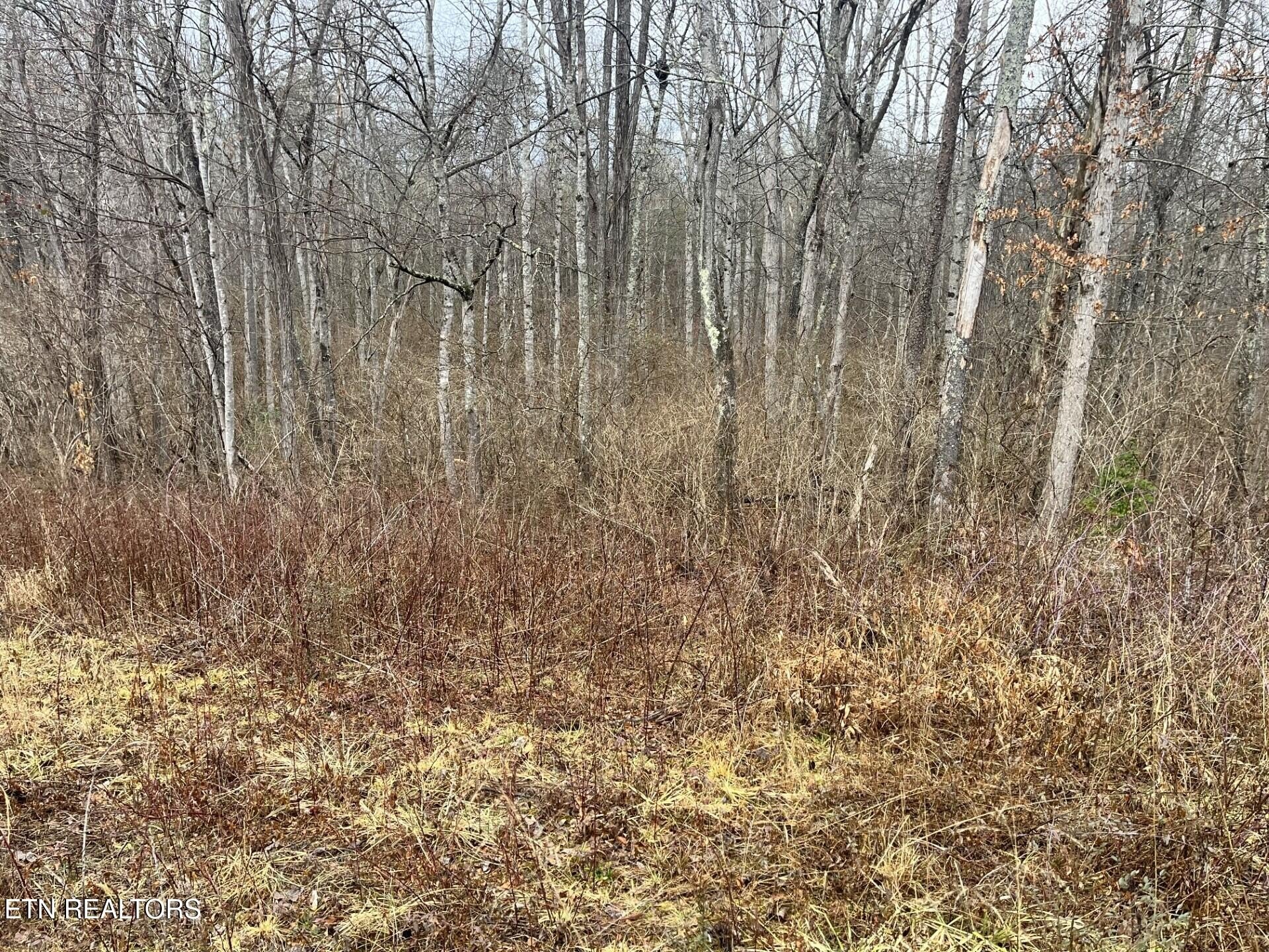 Crossville, Tennessee, 38555, United States, ,Land,For Sale,1982982