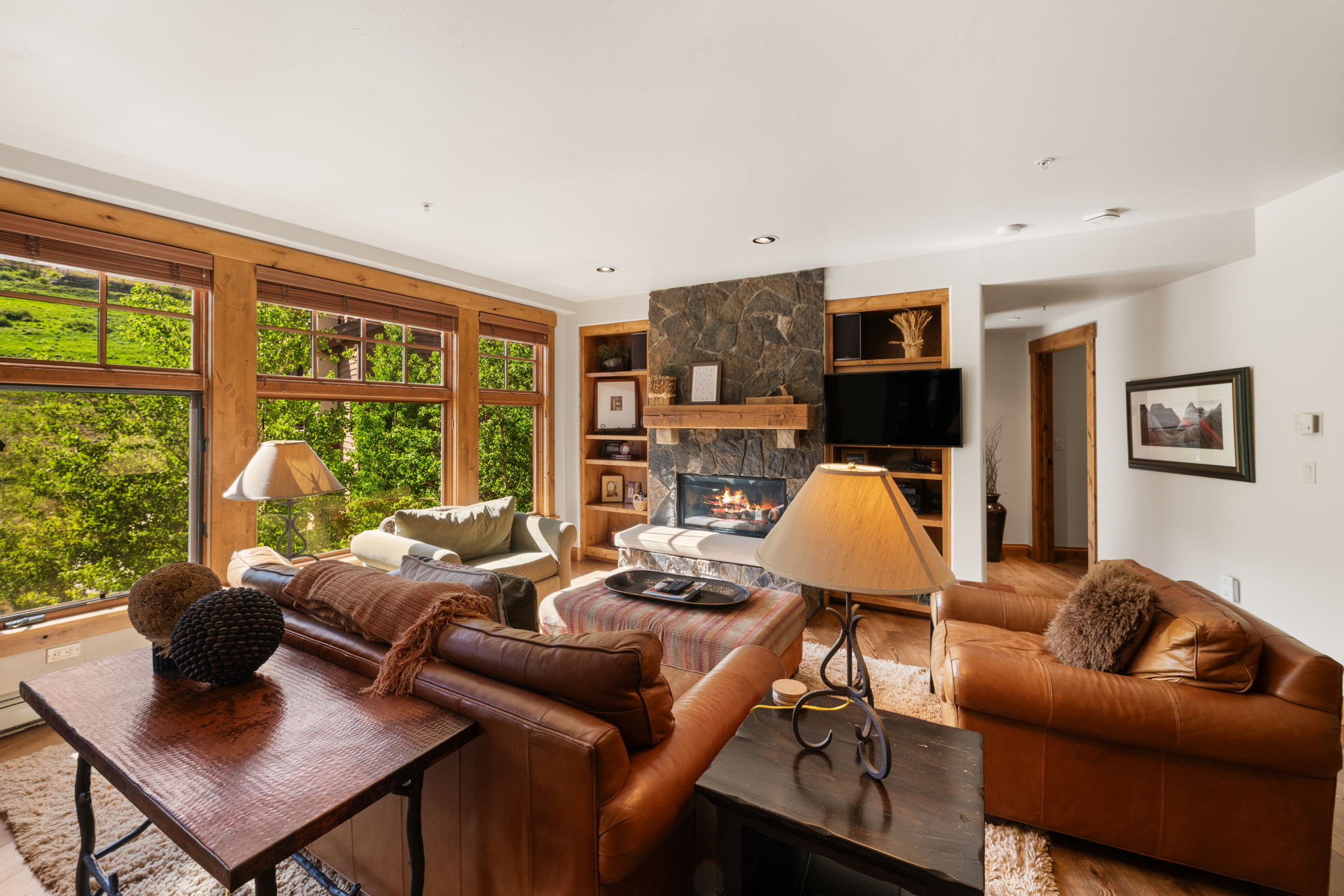 Slopeside Living at the Base of Crested Butte Mountain - 物件實景
