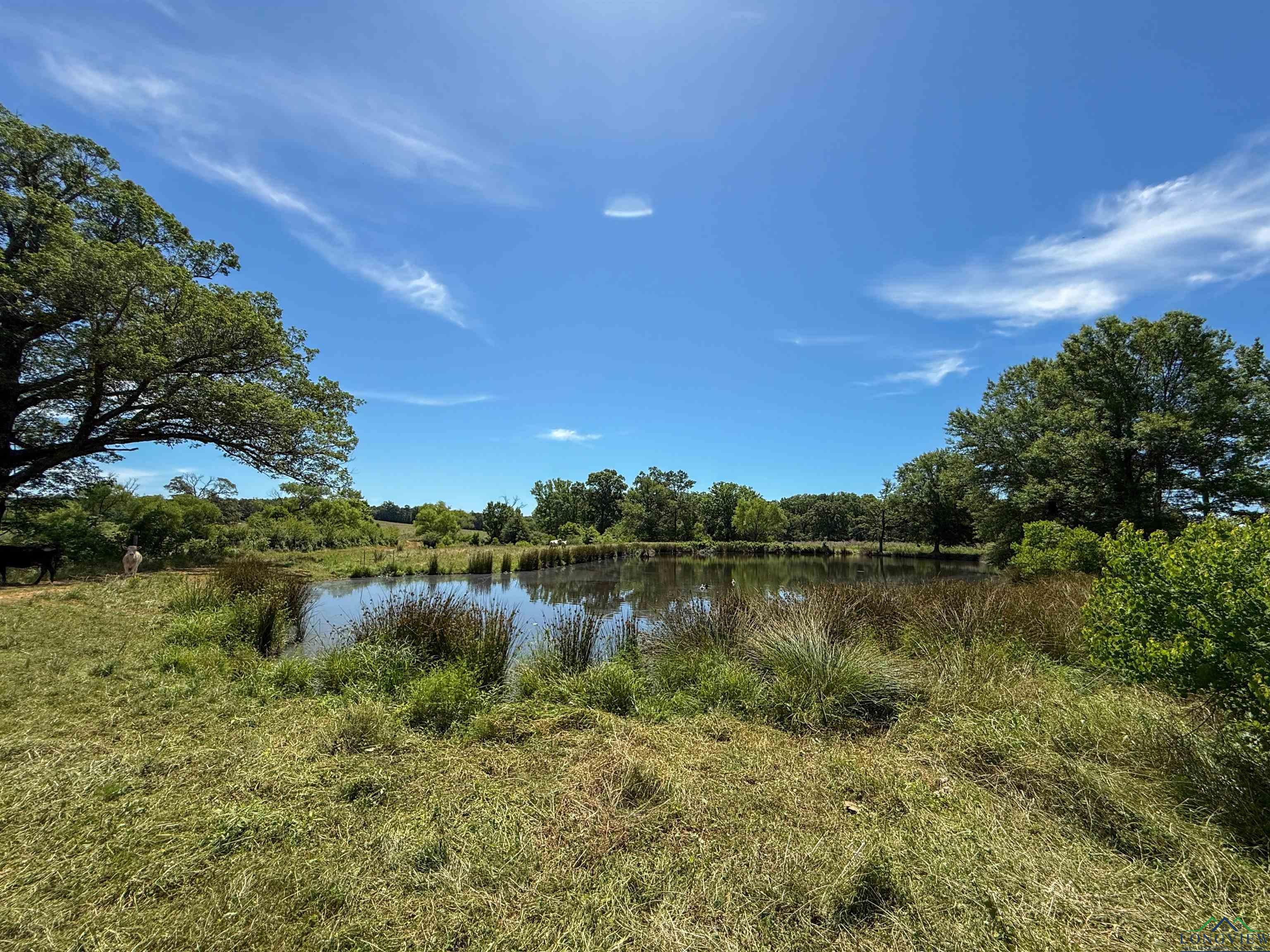 7557 FM 248, Lodi, Texas, 75564, United States, ,Residential,For Sale,7557 FM 248,1614560