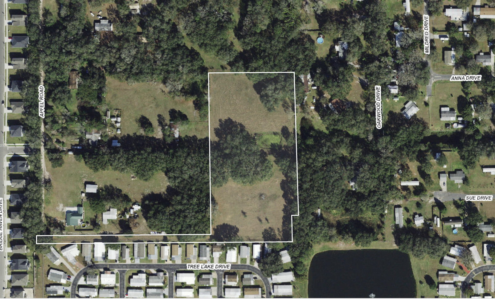 Wesely Chapel, Florida, 33543, United States, ,Land,For Sale,1975379