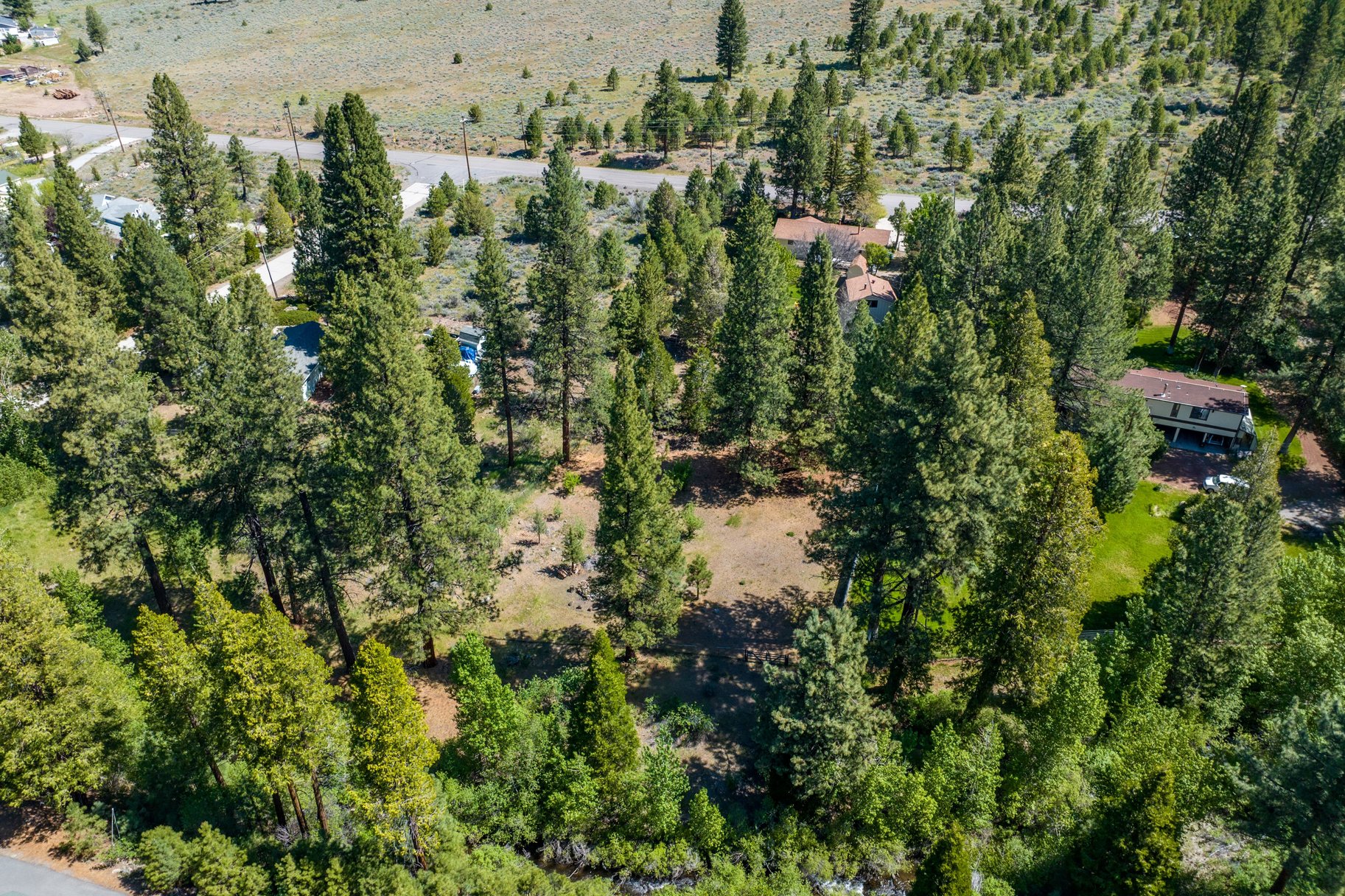  Sweet home on 1.24 acres in Sierra Brooks - 物件實景