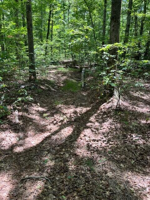 Graysville, Tennessee, 37338, United States, ,Residential,For Sale,1943907
