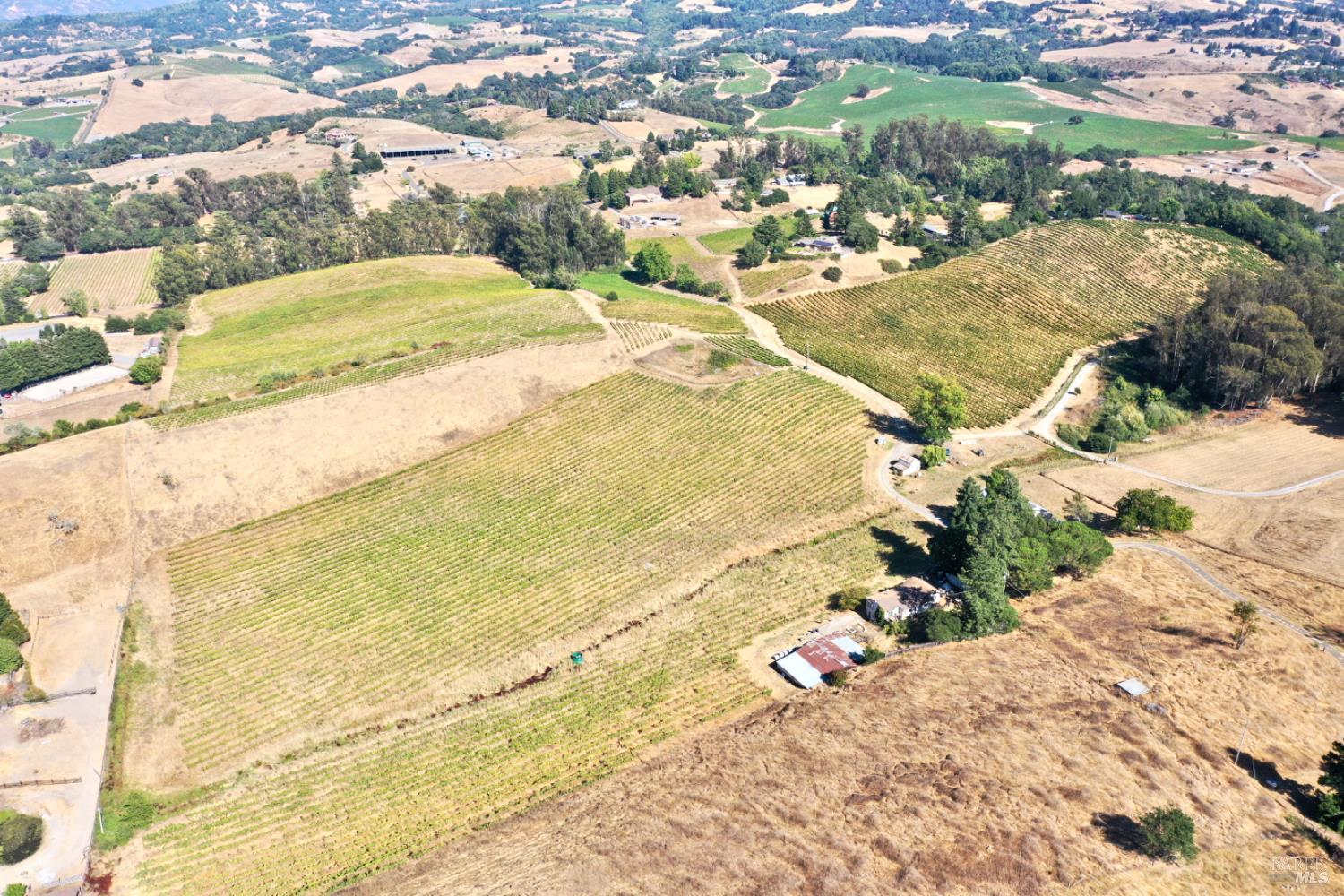 Santa Rosa, California, 95404, United States, 5 Bedrooms Bedrooms, ,4 BathroomsBathrooms,Residential,For Sale,1986461