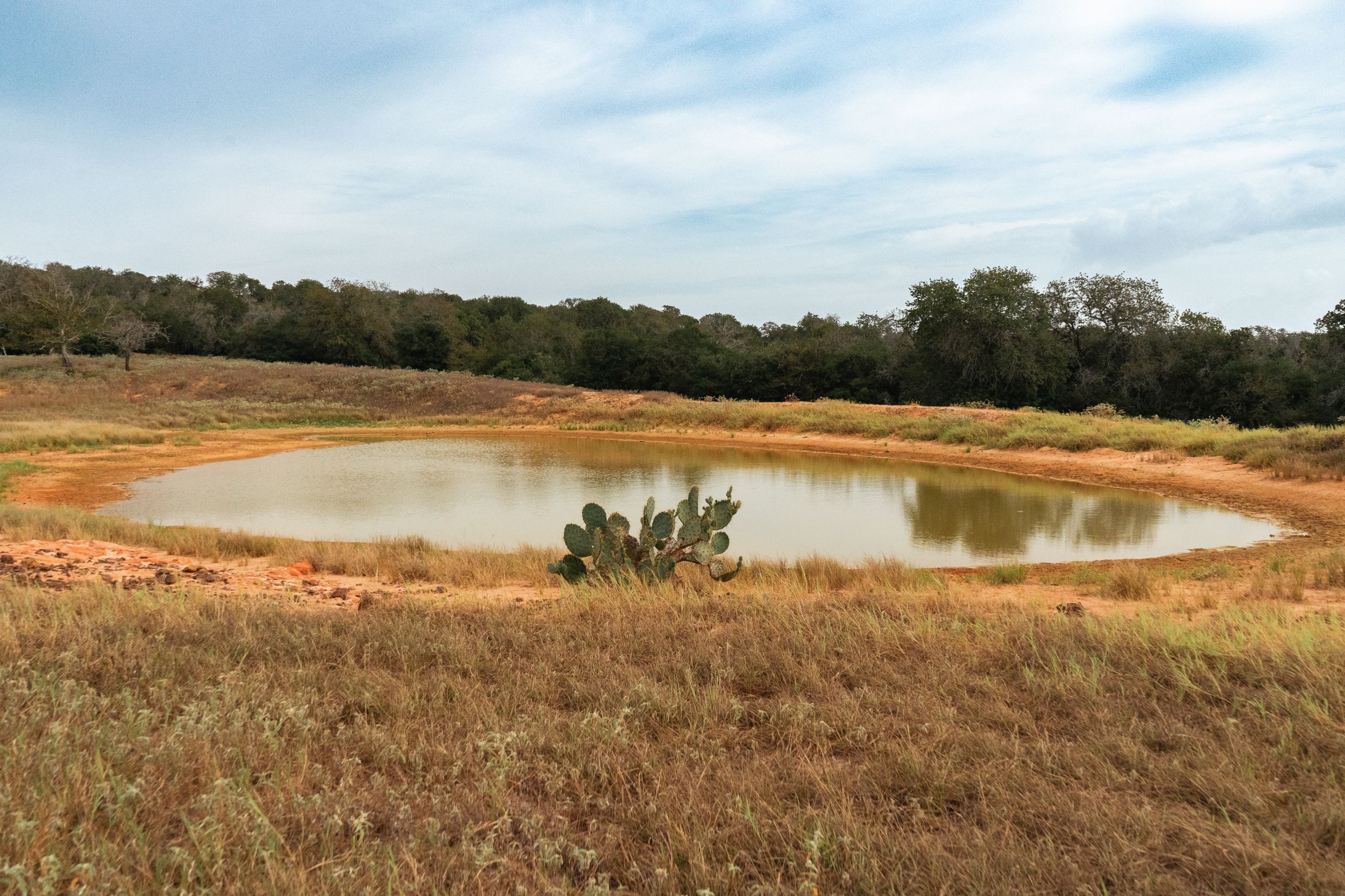 860+/- Acre PQR Ranch in Gonzales County - 物件實景