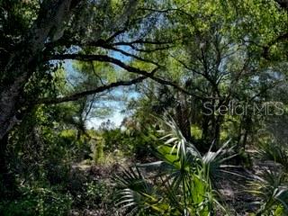 Punta Gorda, Florida, 33982, United States, ,Land,For Sale,1840783