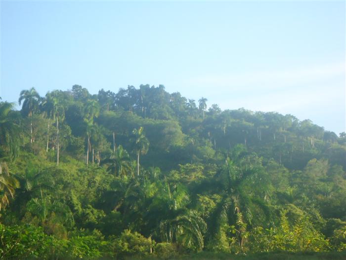 Sosua, DO, ,Land,For Sale,1907568
