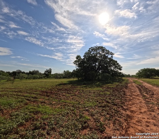 9912 Fm 1681, Nixon, Texas, 78140, United States, ,Residential,For Sale,9912 Fm 1681,1408961