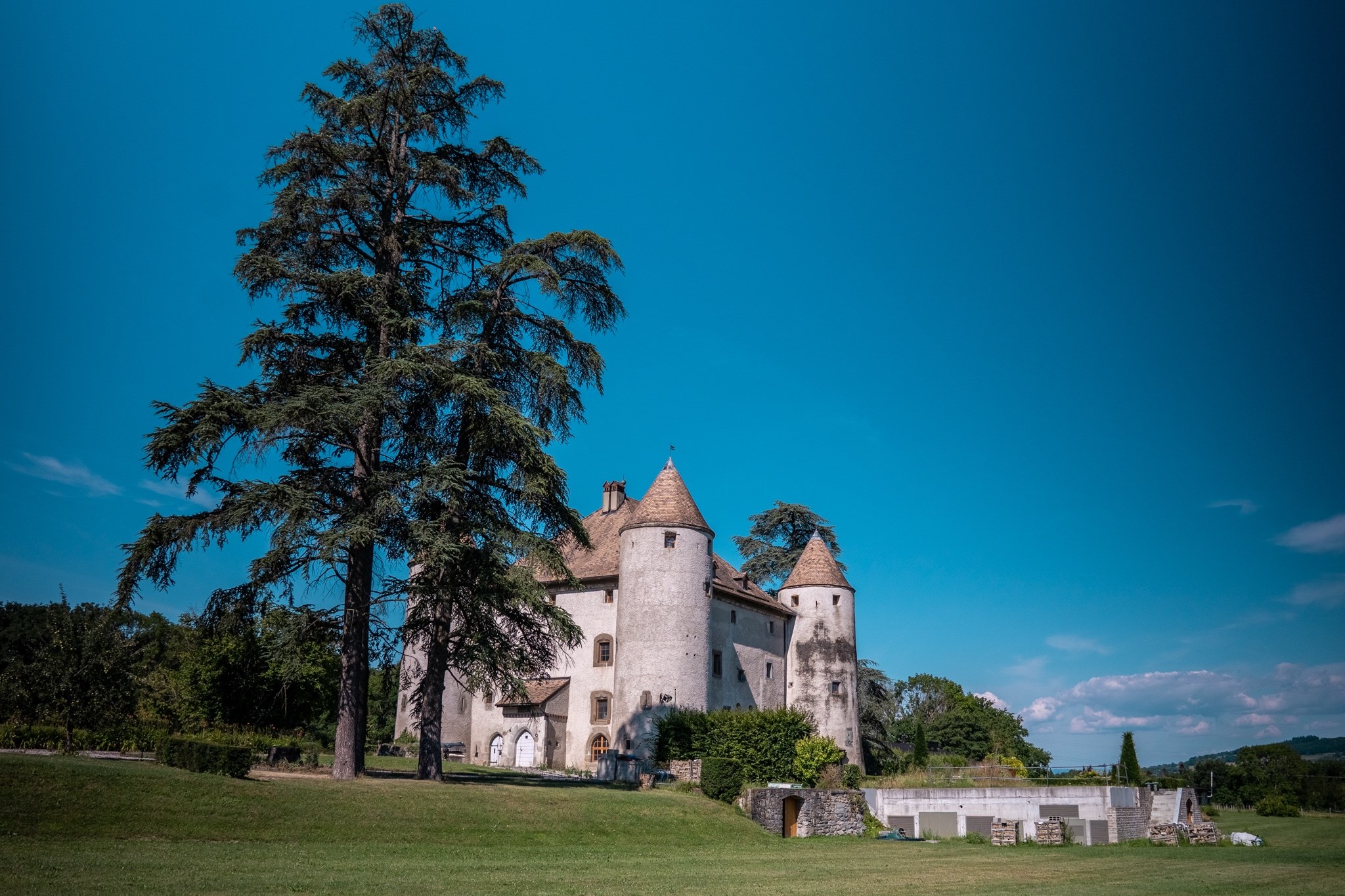  Castle at the Gates of Geneva - 物件實景