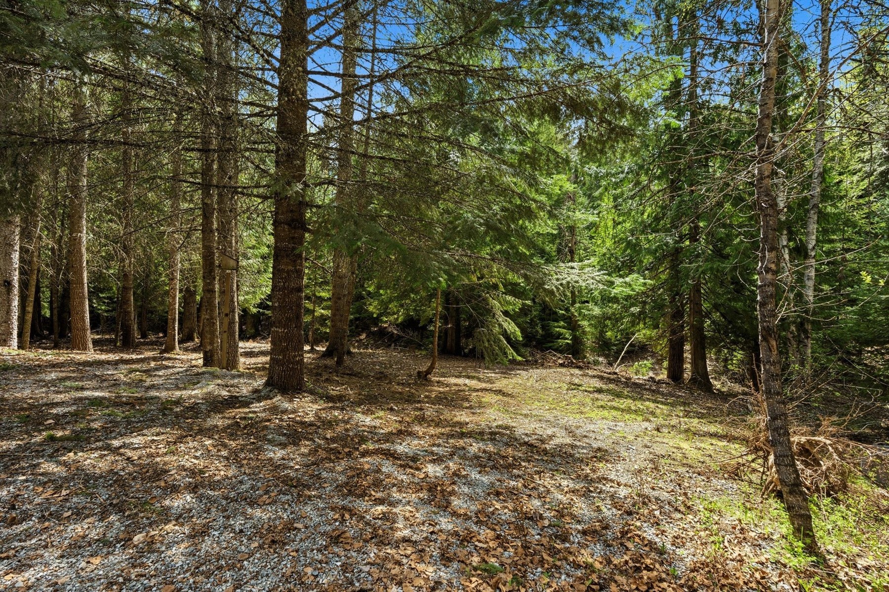  354 Fall Creek Road - 物件實景