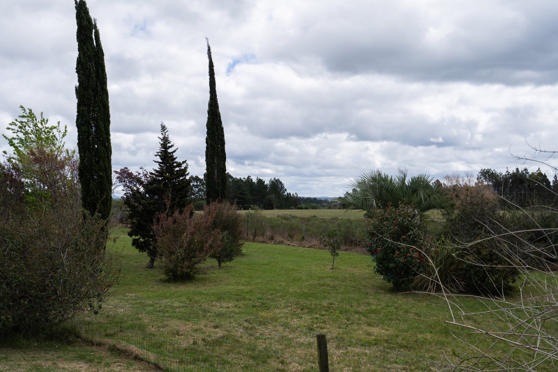  5-hectare farm in Pueblo Edén. - 物件實景