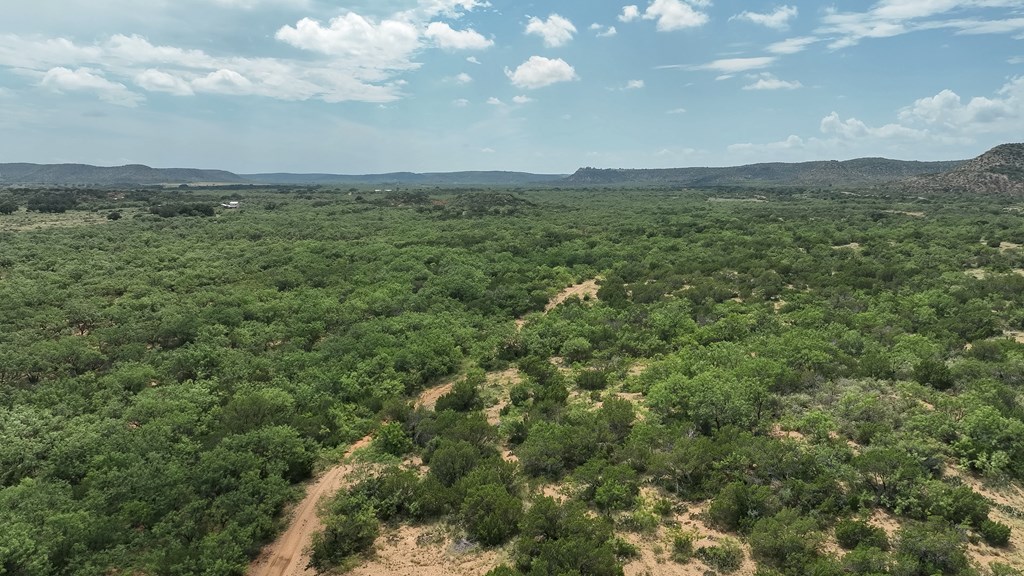Tennyson, Texas, 76953, United States, ,Land,For Sale,1982007