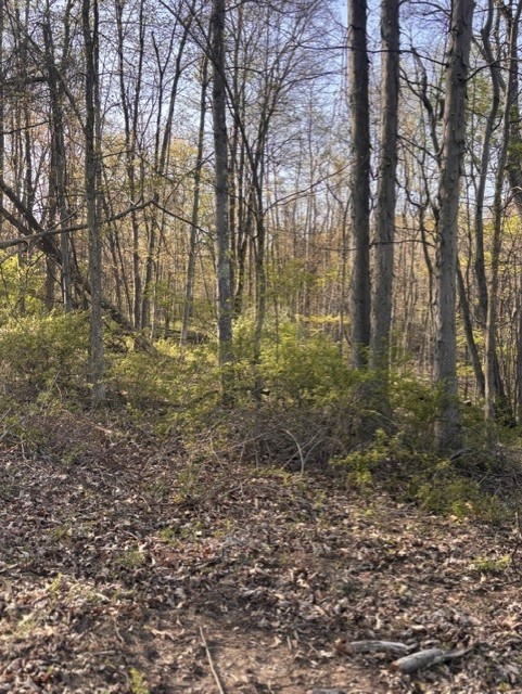 Penn Twp - BUT, Pennsylvania, 16002, United States, ,Residential,For Sale,1794987