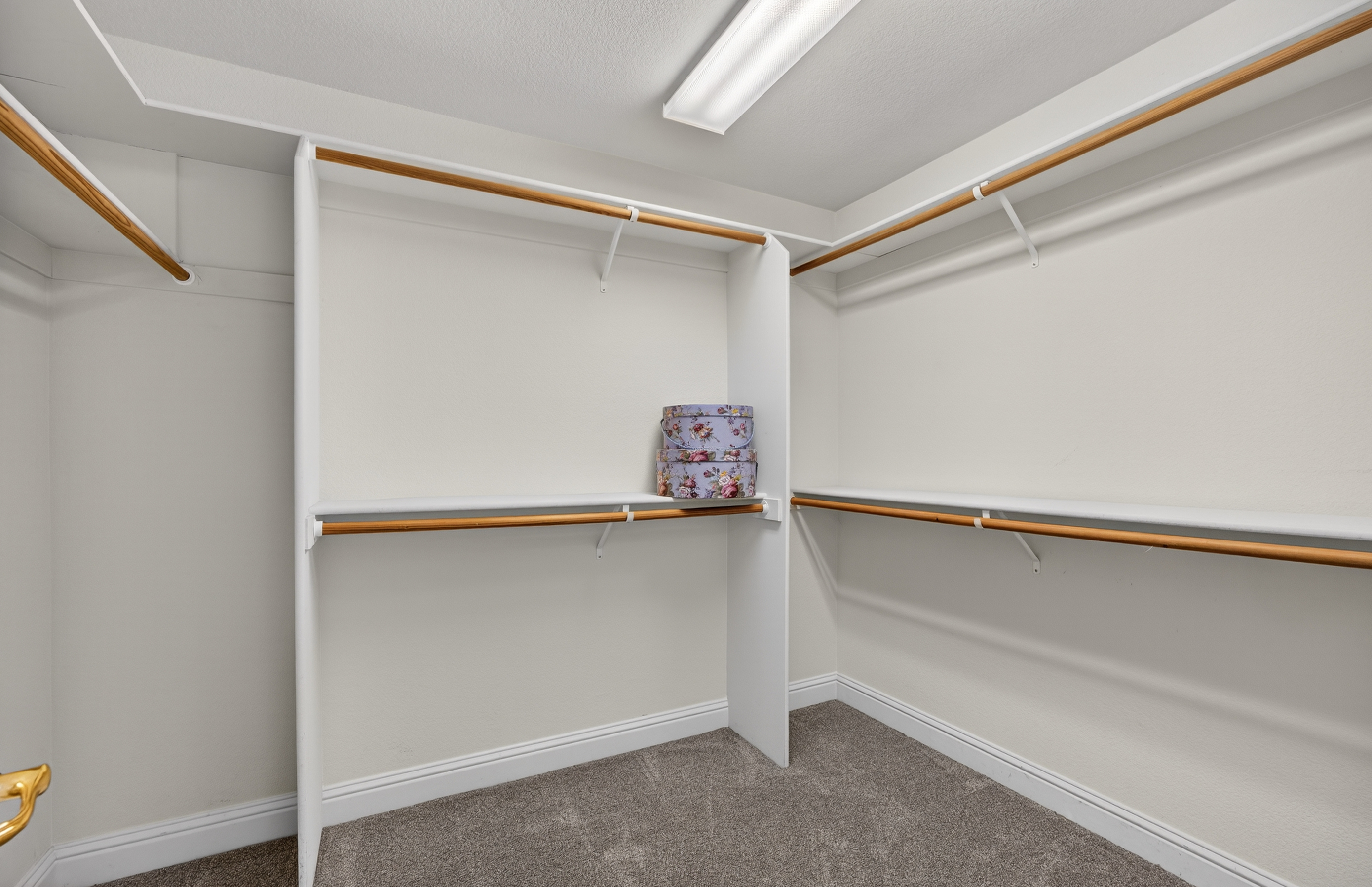  5500 Tierra Gardens Lane, Carmichael, CA 95608 - 物件實景