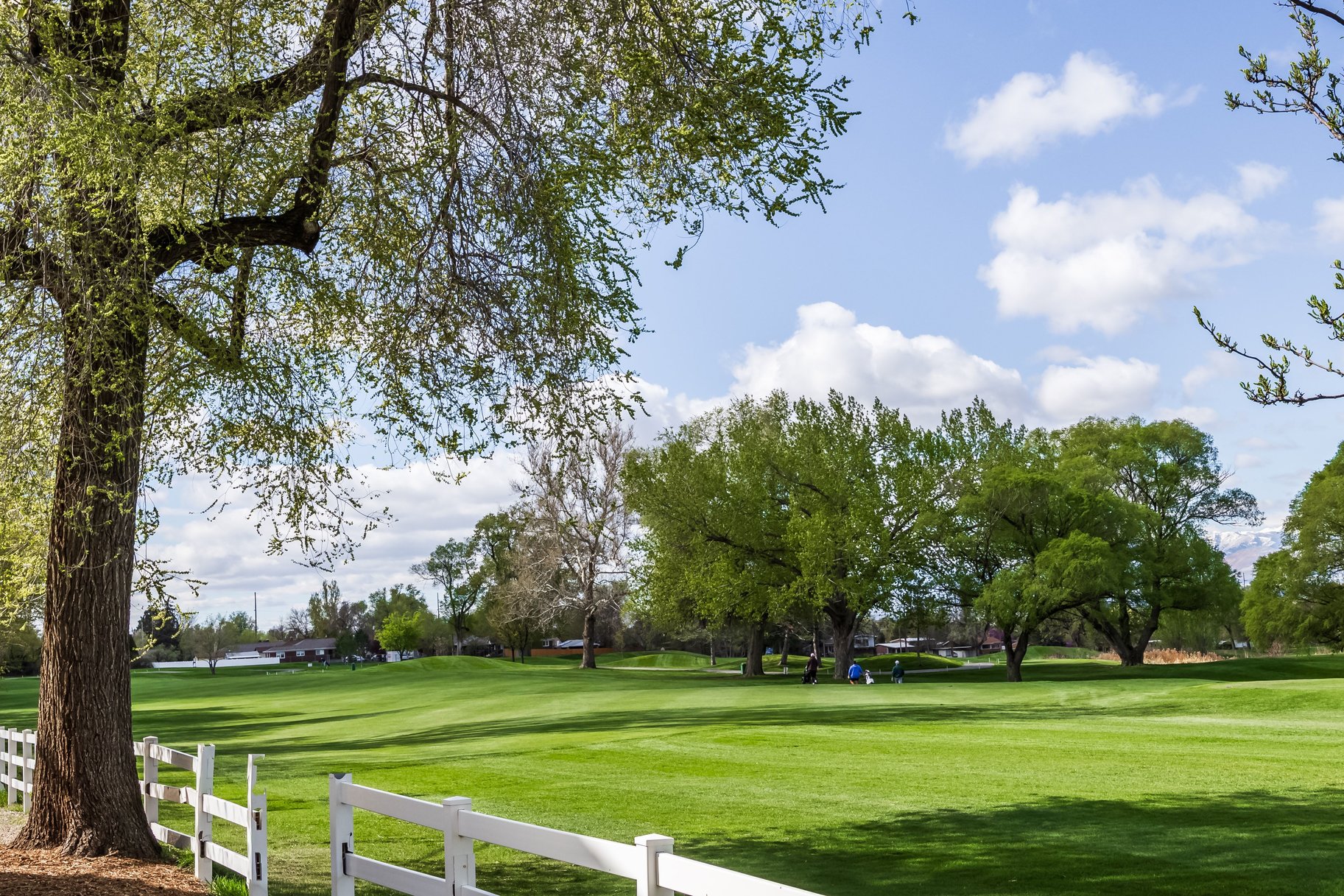  Chic Garden-Level Retreat in the Heart of Sugar House - 物件實景