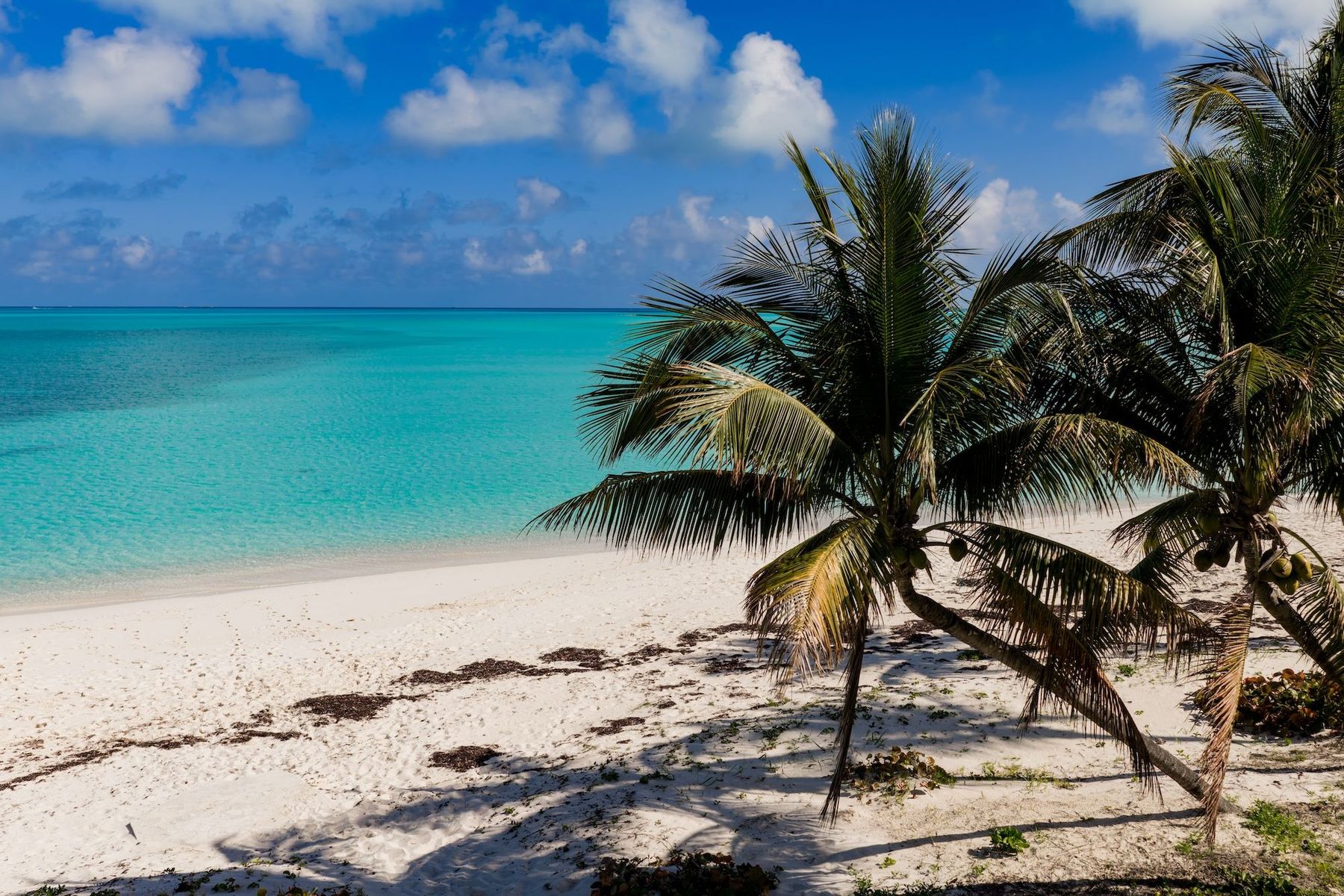  Beachfront Luxury Condo with Panoramic Ocean Views - 物件實景