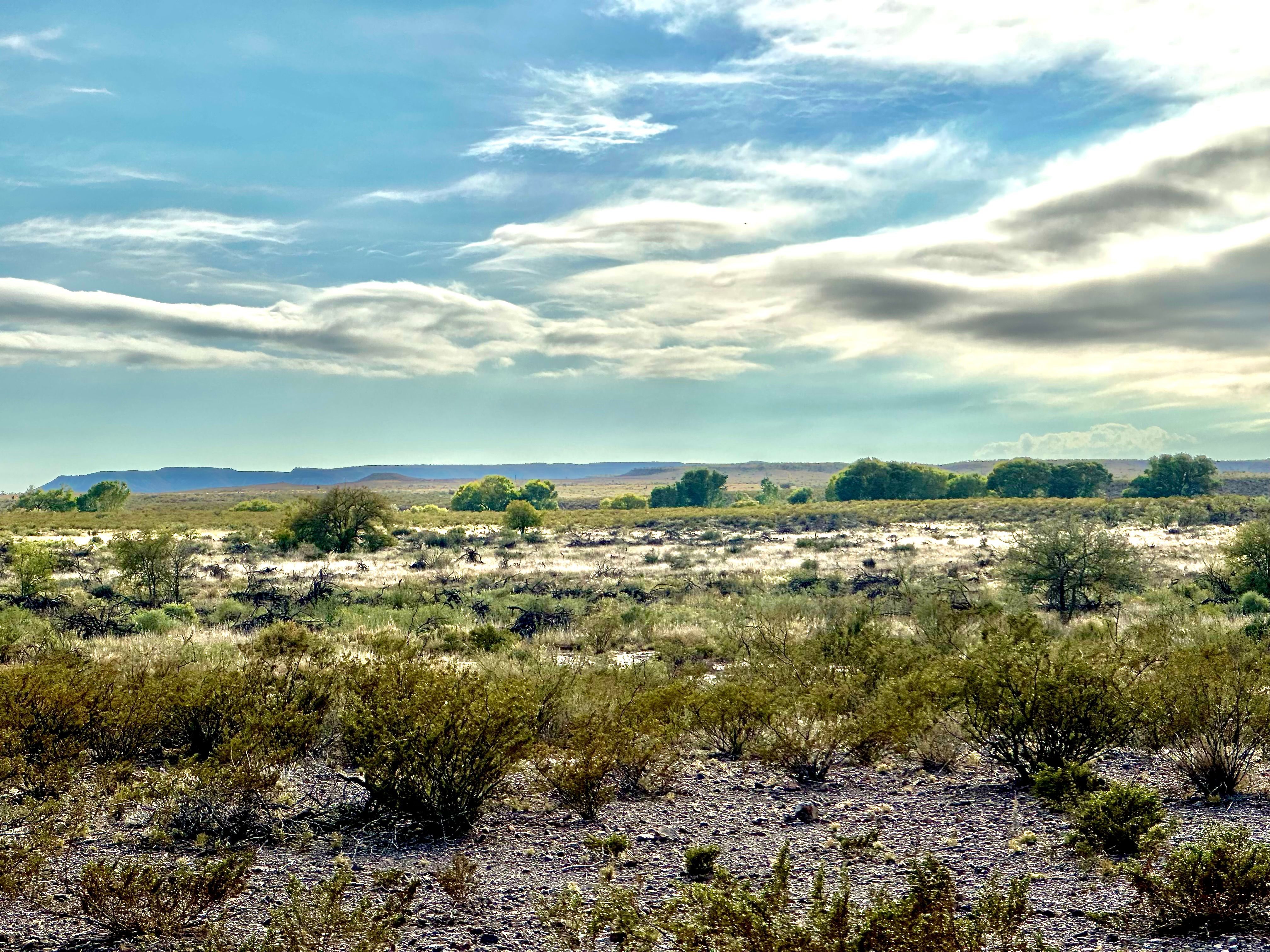  The Alamito Ranch in Presidio County - 物件實景