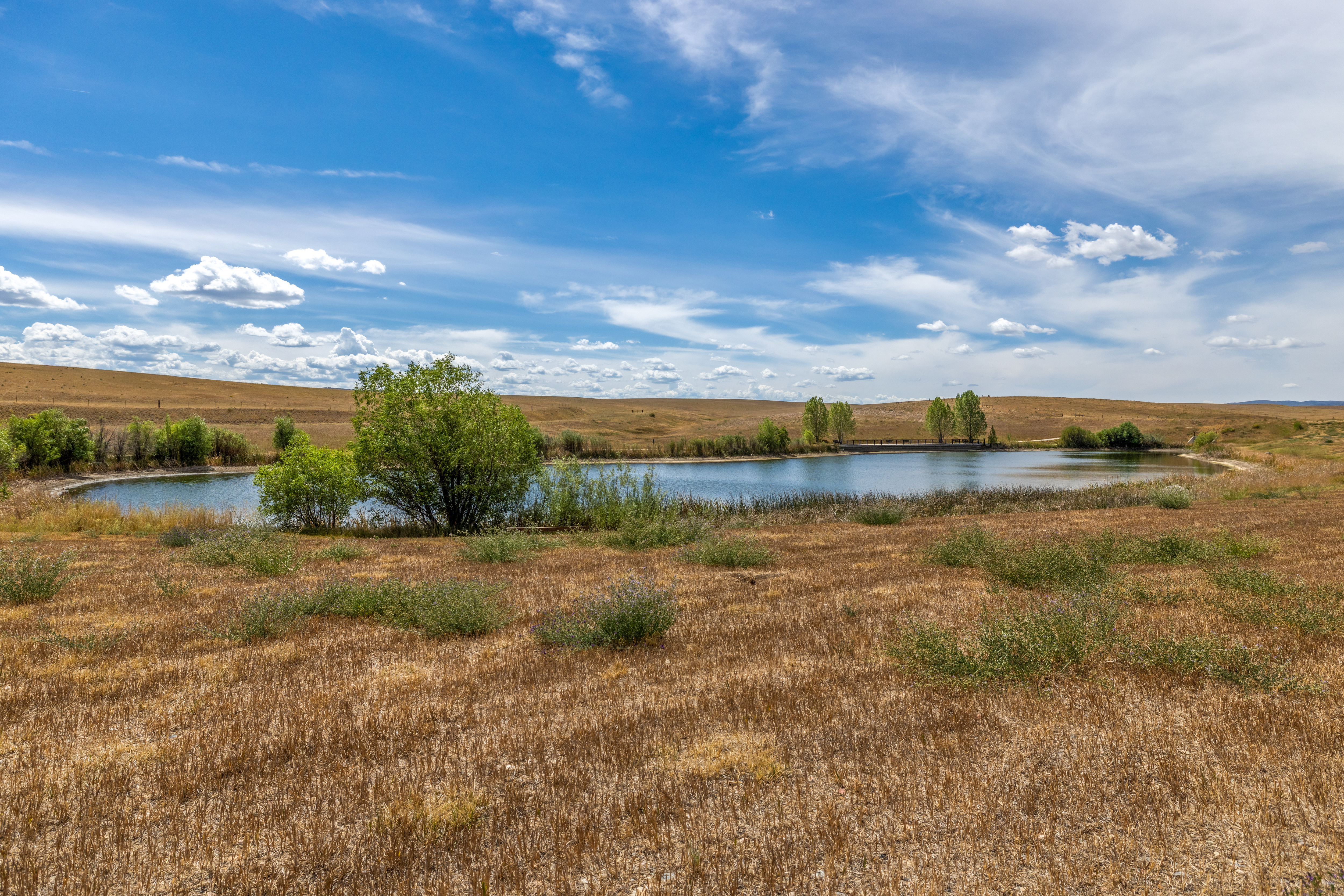  319 Littlebend Road, Hayden, CO, 81639 - 物件實景