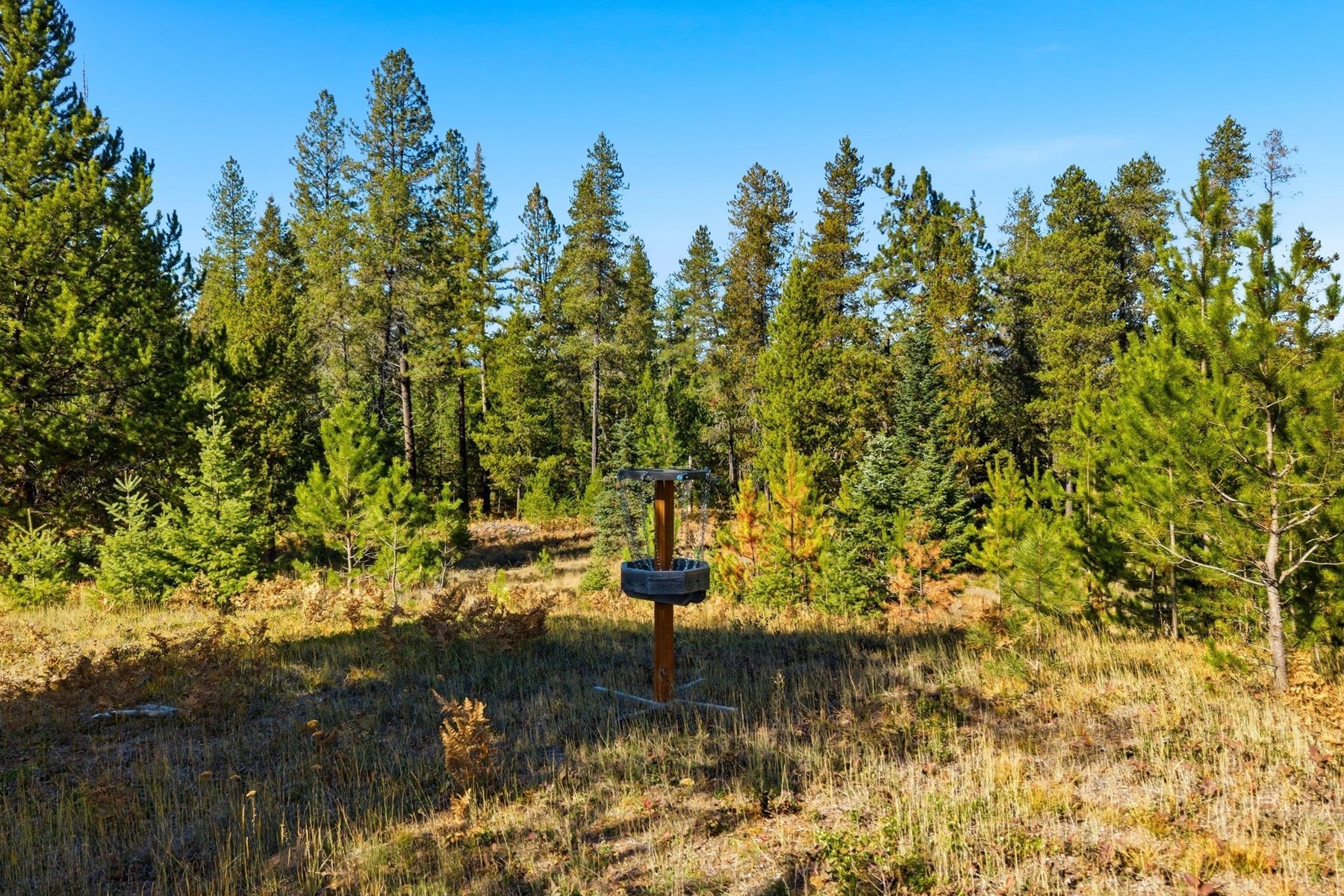  672 Hopkins Rd, Sandpoint - 物件實景