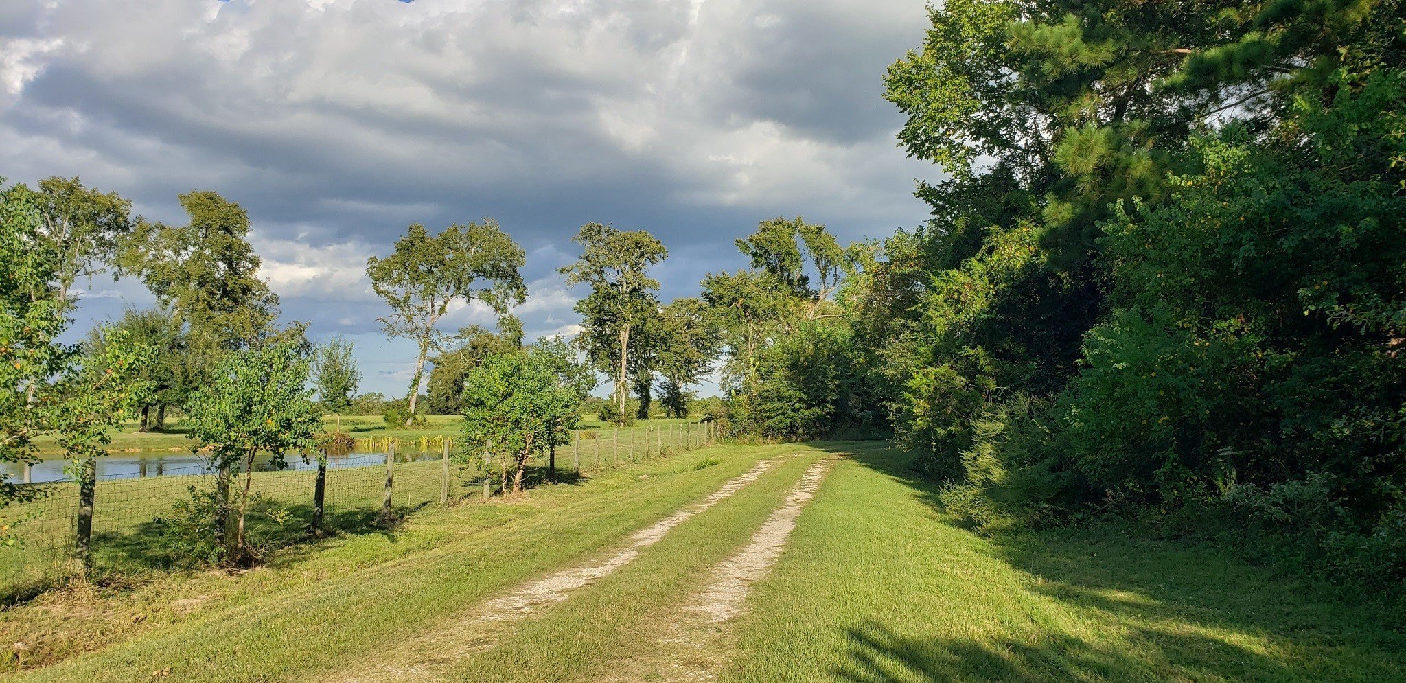 Hockley, Texas, 77447, United States, 2 Bedrooms Bedrooms, ,1 BathroomBathrooms,Residential,For Sale,1974890