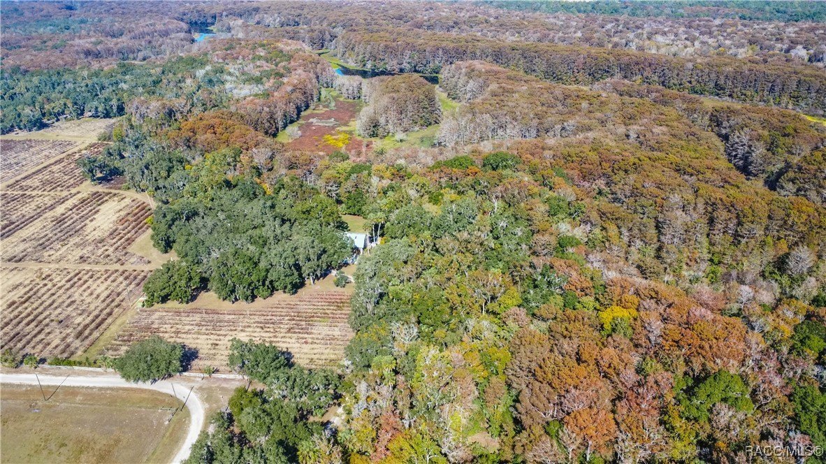 Inverness, Florida, 34450, United States, 4 Bedrooms Bedrooms, ,7 BathroomsBathrooms,Residential,For Sale,2005409