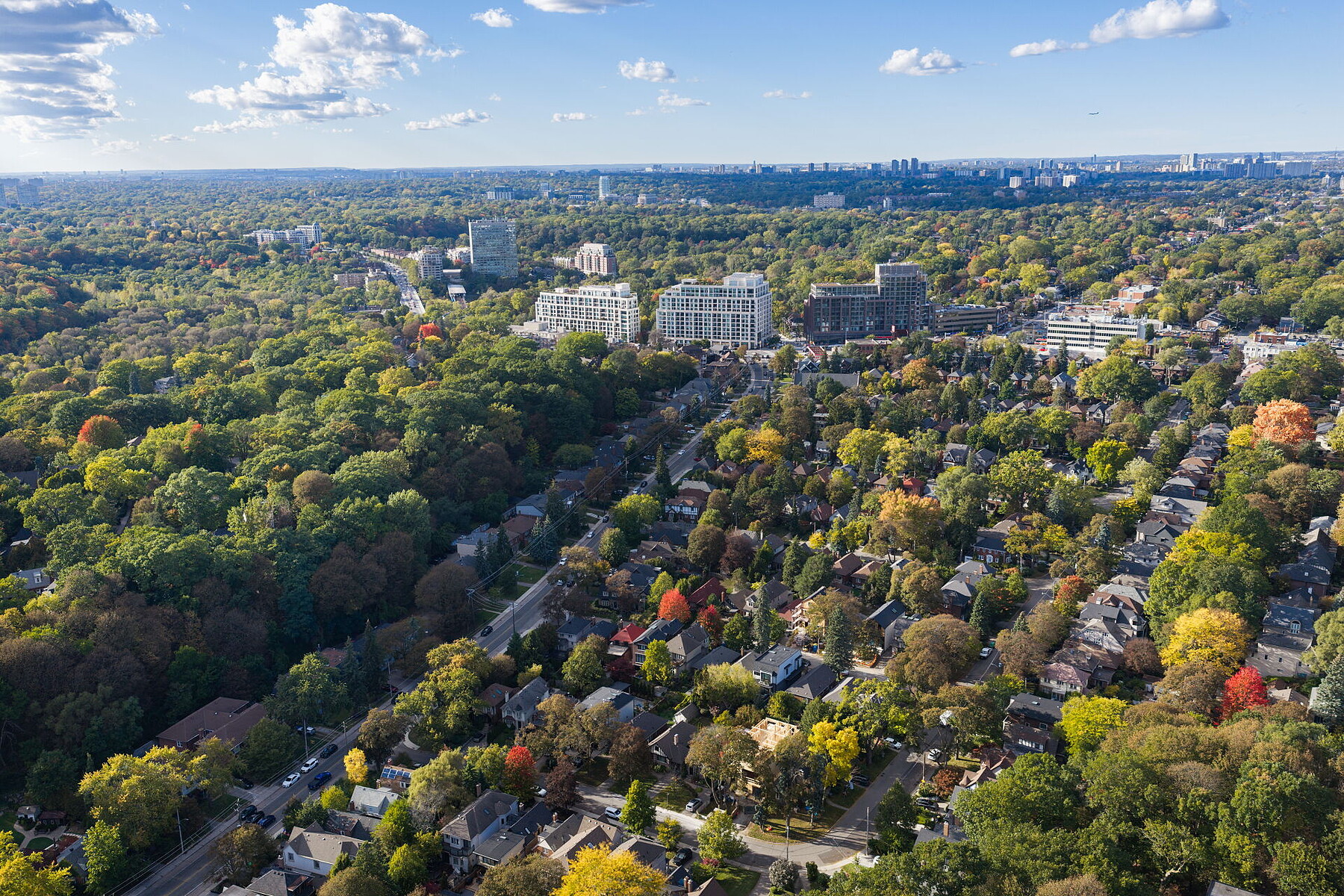  16 Sunnybrook Rd - 物件實景