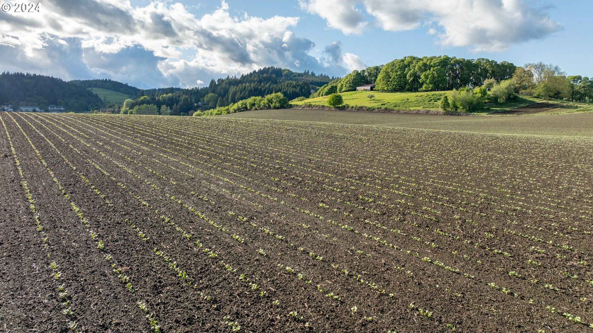 0 SW YOUNGBERG HILL RD, McMinnville, Oregon, 97128, United States, ,Land,For Sale,0 SW YOUNGBERG HILL RD,1523694