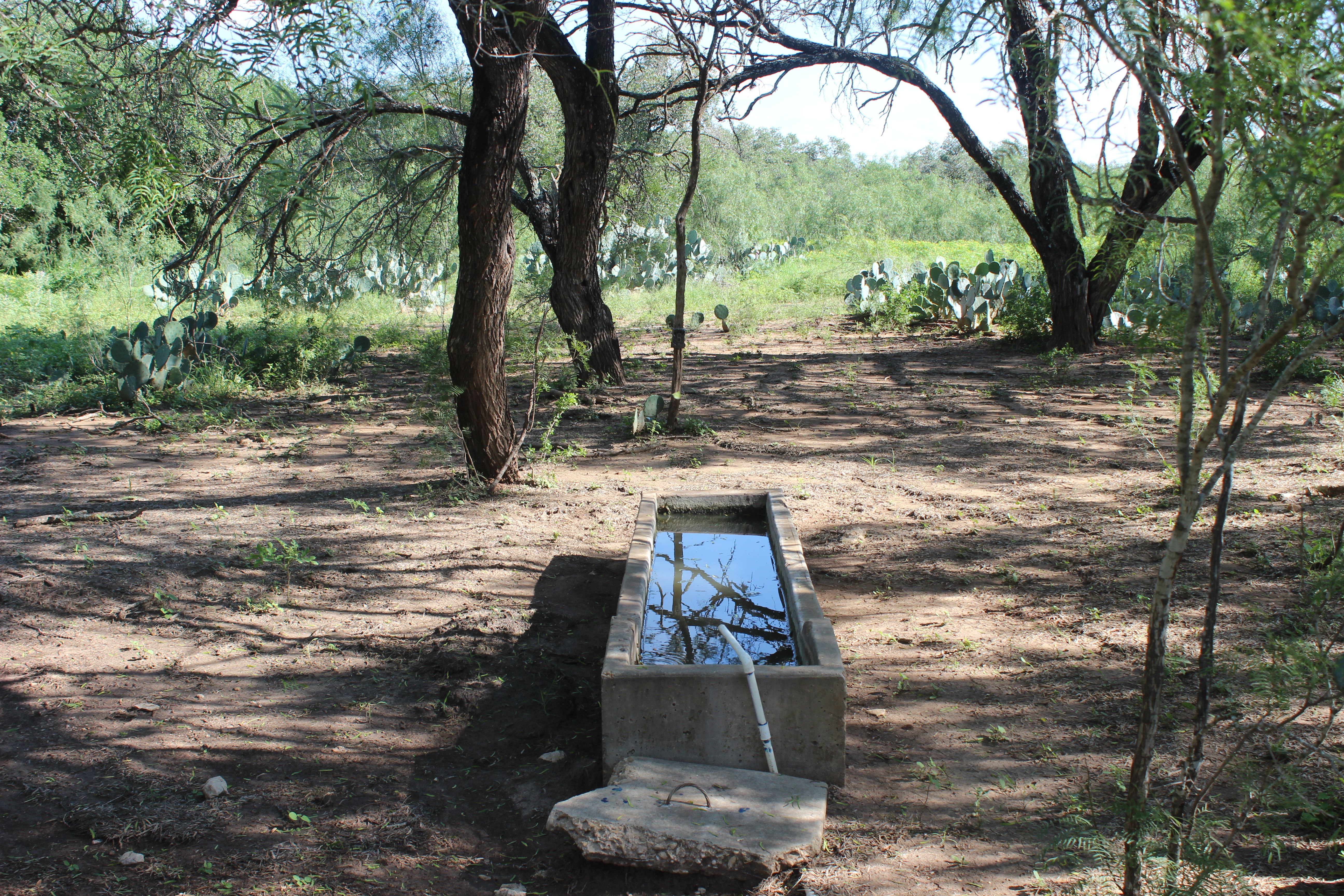  Apache Hill Ranch in Uvalde County - 物件實景