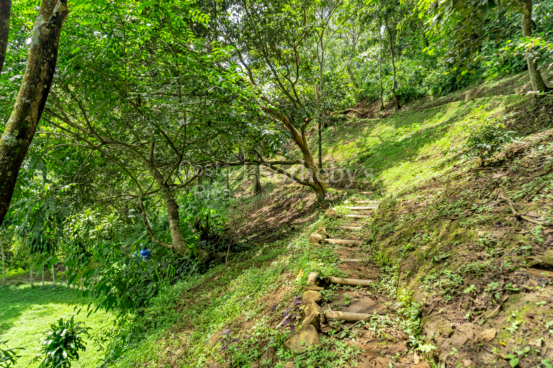  Atenas Highlands Eco Estate - 物件實景