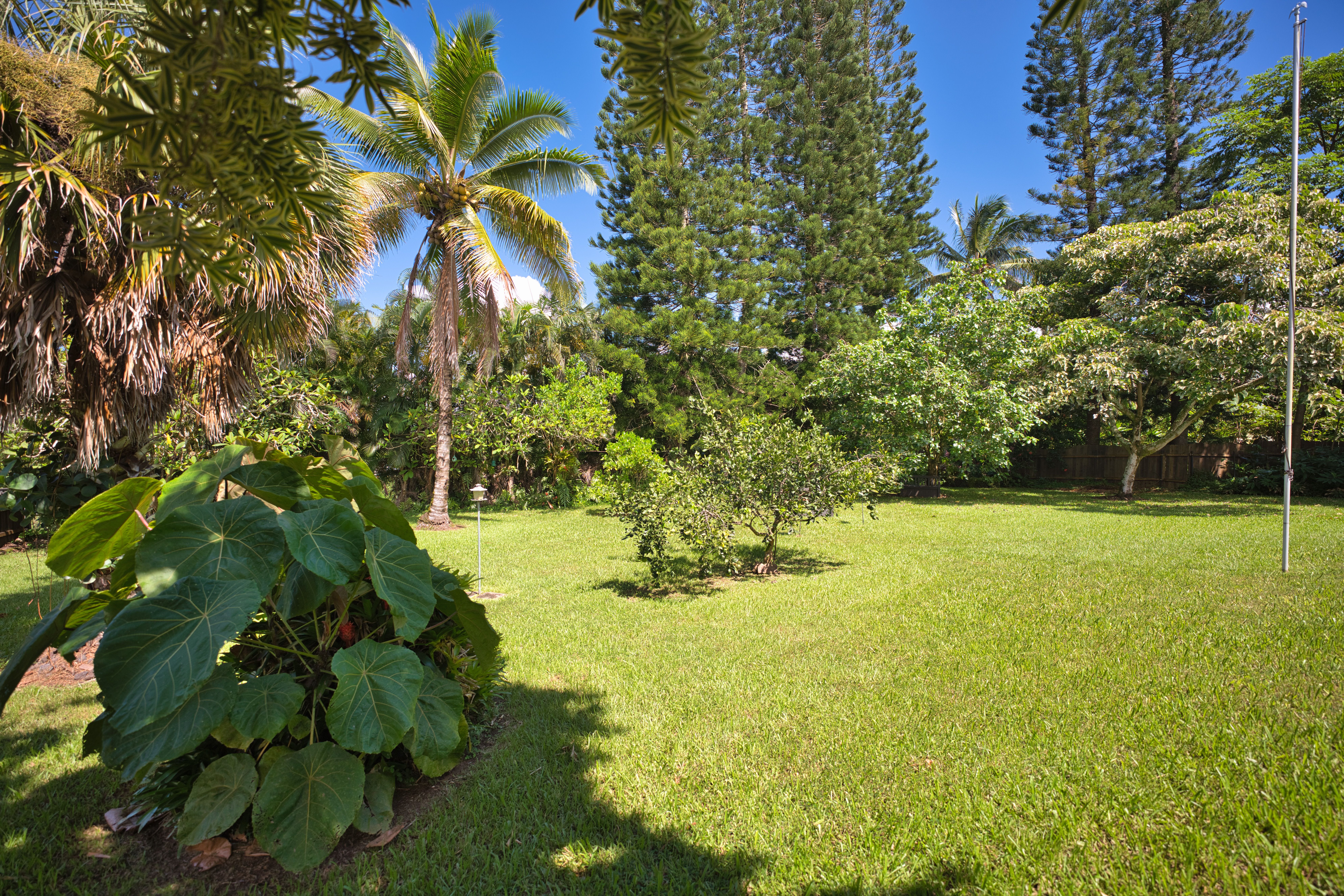  15-167 N Puni Lapa Loop, Pahoa, HI, 96778 - 物件實景