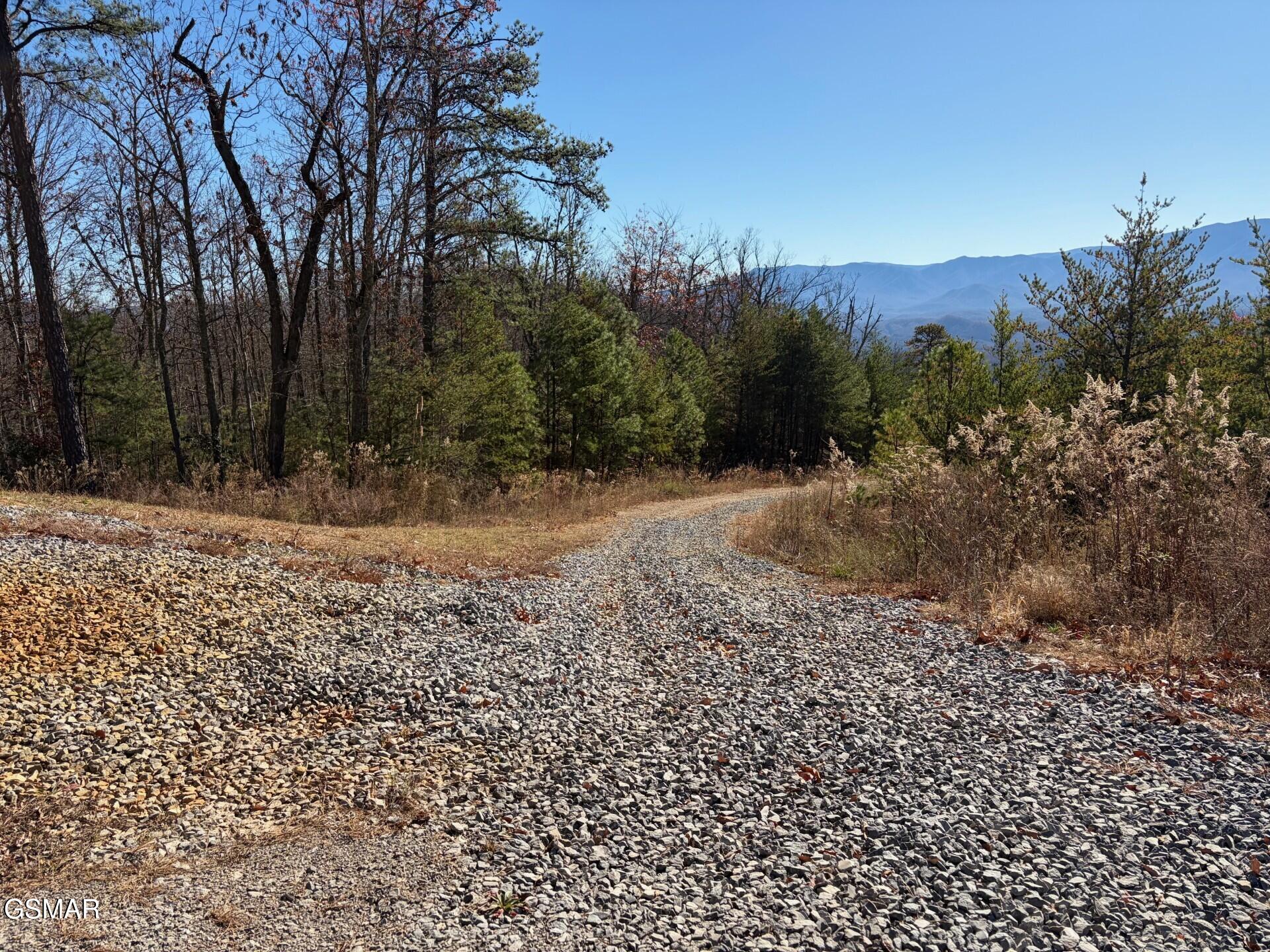 Sevierville, Tennessee, 37876, United States, ,Land,For Sale,2009102