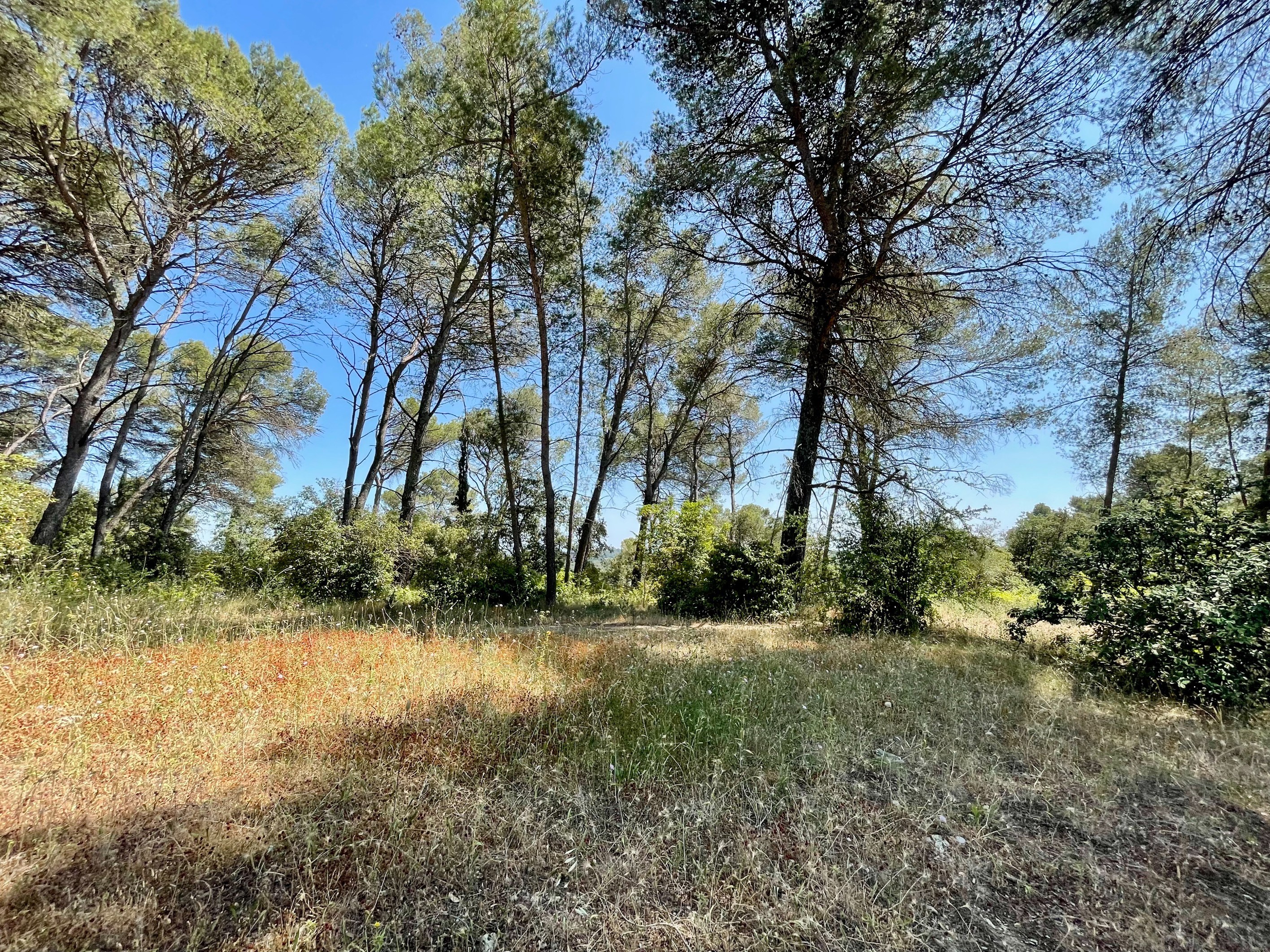  Exceptional property – Plan des Quatre Seigneurs, Montpellier - 物件實景
