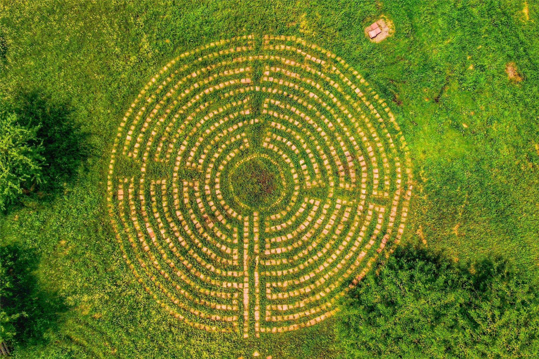 Commerce, Texas, 75428, United States, 7 Bedrooms Bedrooms, ,6 BathroomsBathrooms,Residential,For Sale,1984183