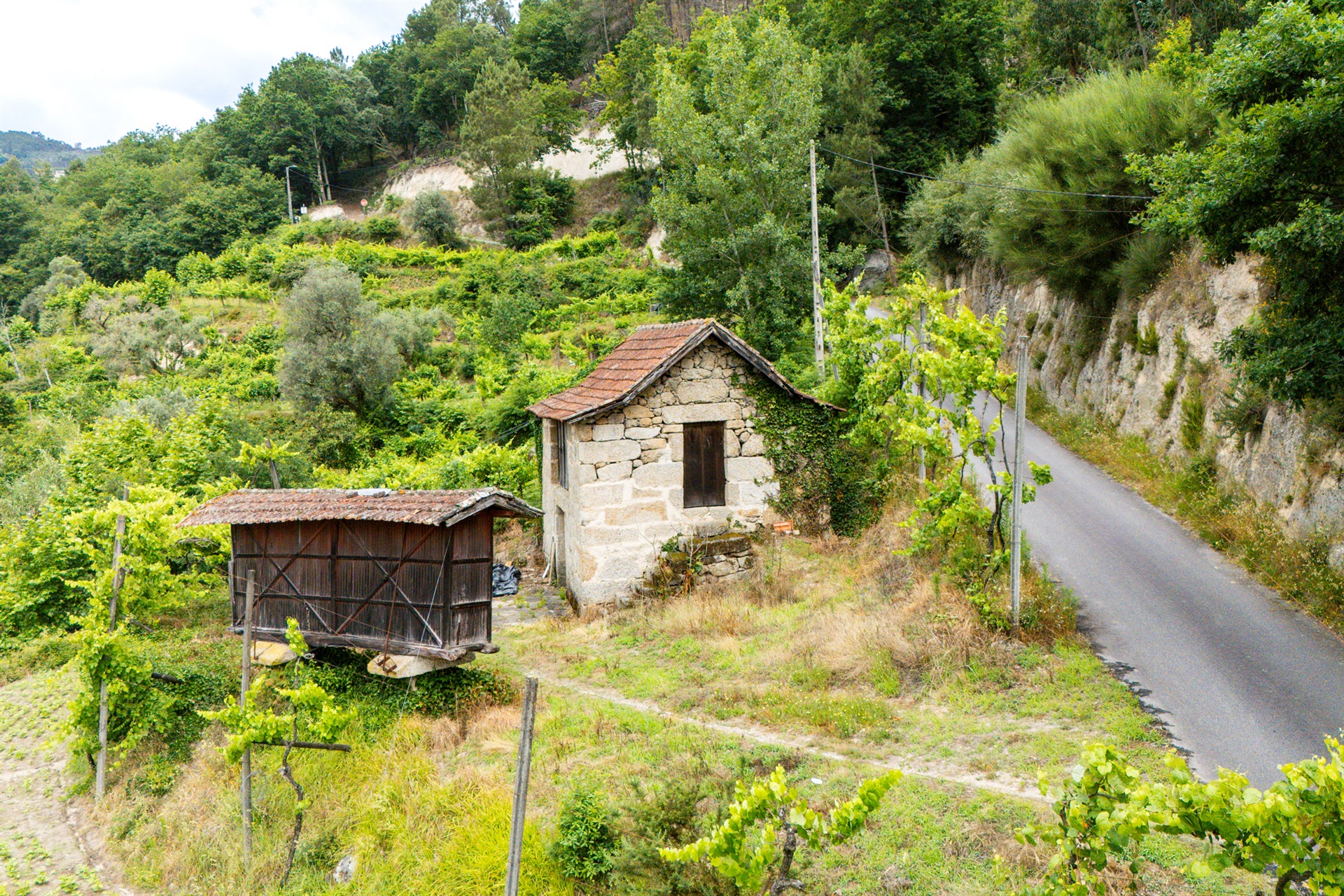 Farm, 3 bedrooms, for Sale - 物件實景