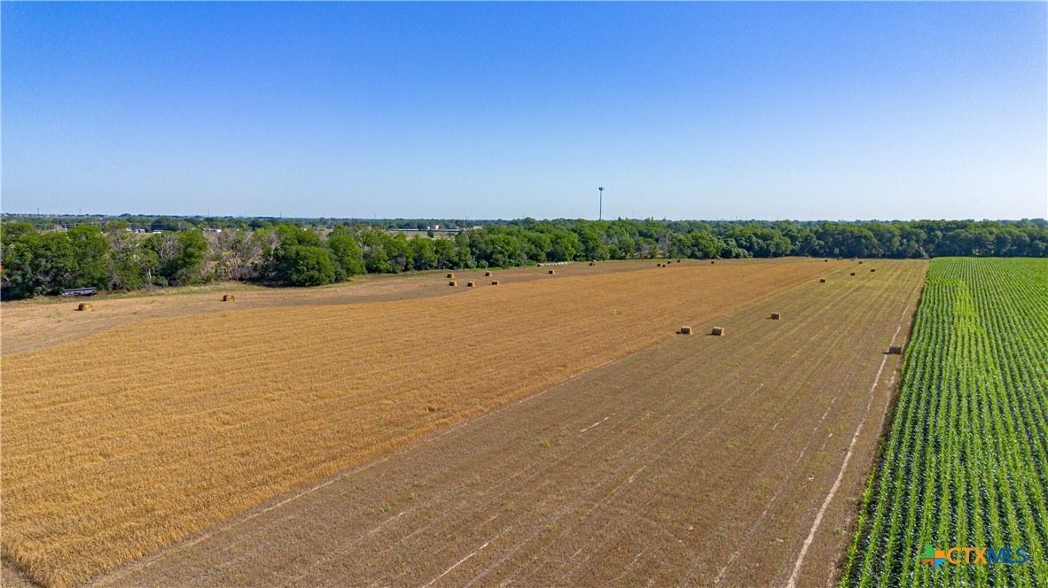 Mcqueeney, Texas, 78123, United States, ,Land,For Sale,2049339