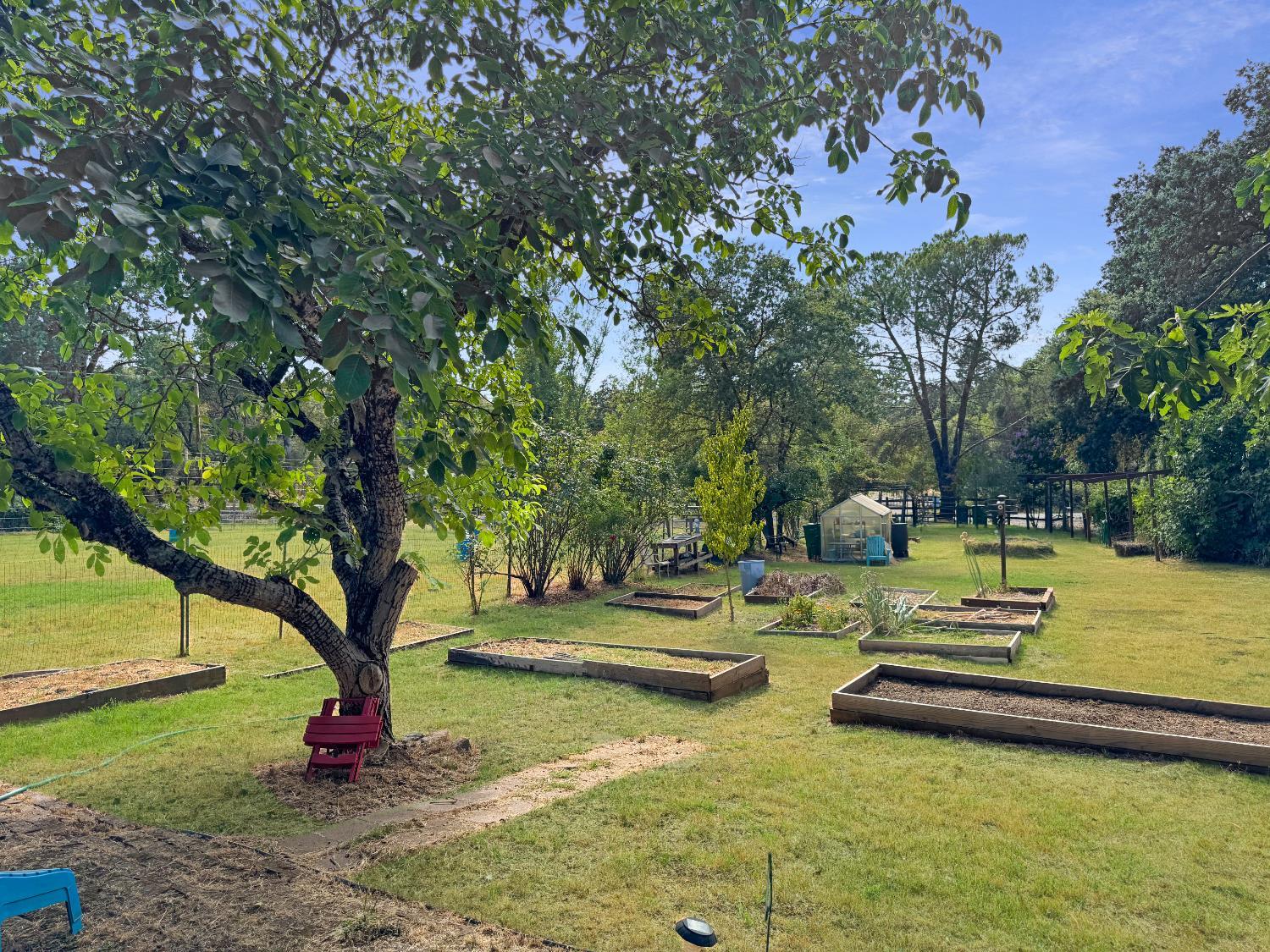 Rough And Ready, California, 95975, United States, 4 Bedrooms Bedrooms, ,3 BathroomsBathrooms,Residential,For Sale,1982646