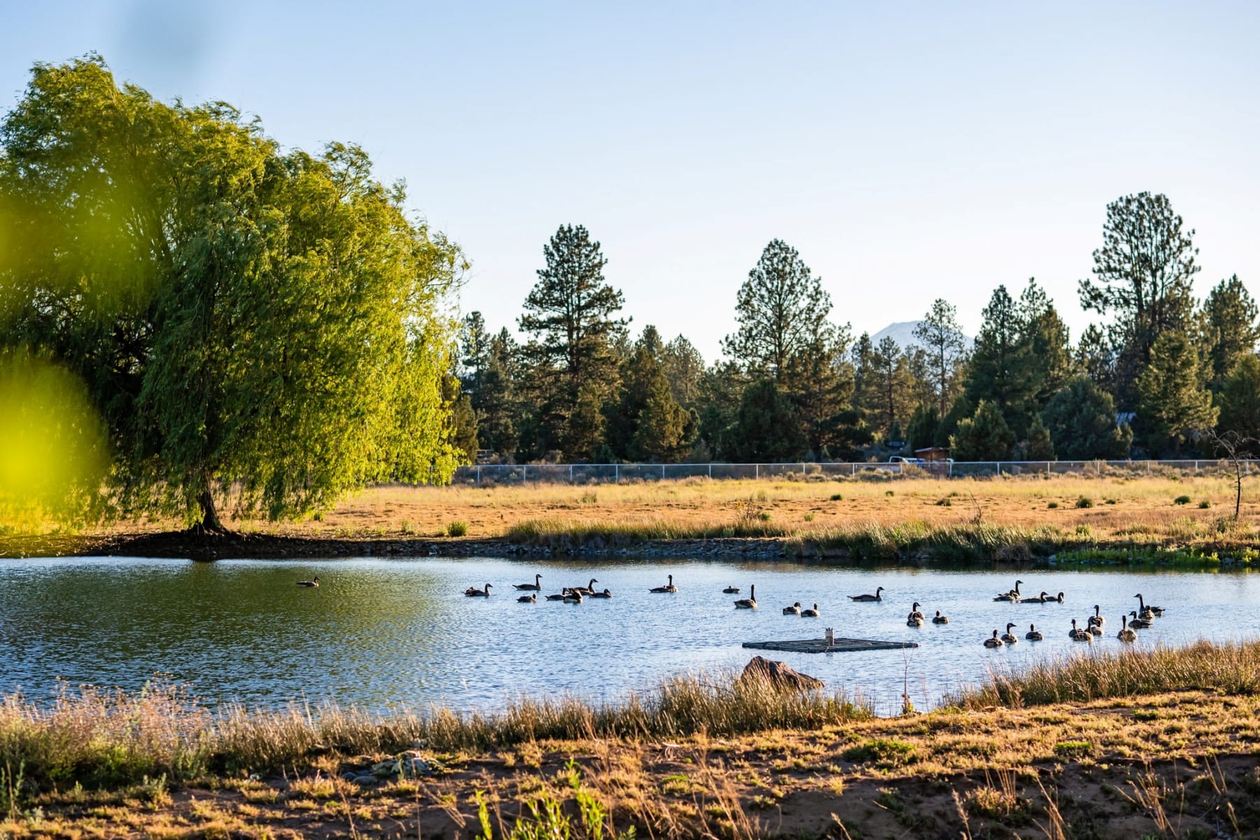  21955 Rickard Road Bend, OR 97702 - 物件實景