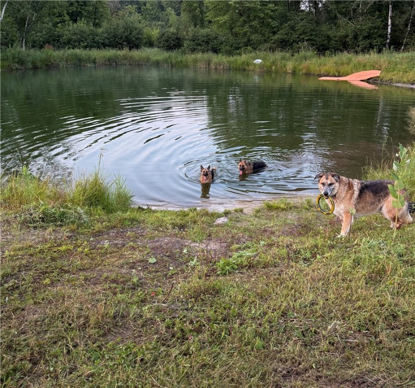 Fairchild, Wisconsin, 54741, United States, ,Residential,For Sale,1921830