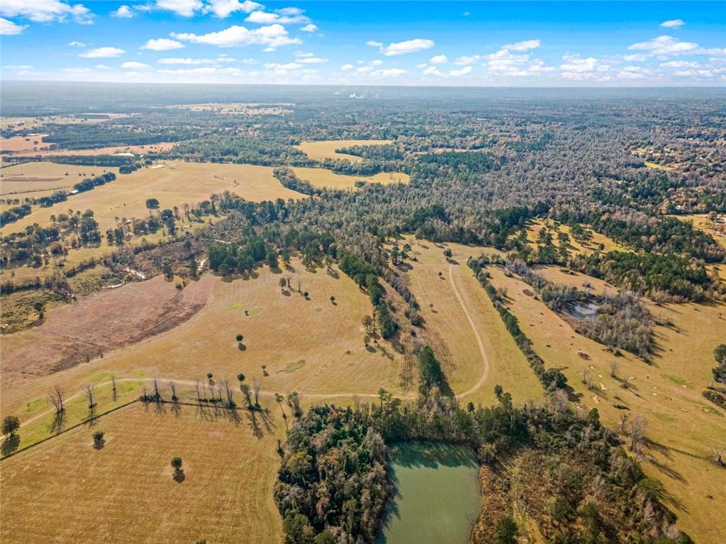 227.5 Acres Old Military (hwy 1082) Road, Bush, Louisiana, 70431, United States, ,Land,For Sale,227.5 Acres Old Military (hwy 1082) Road,1434121