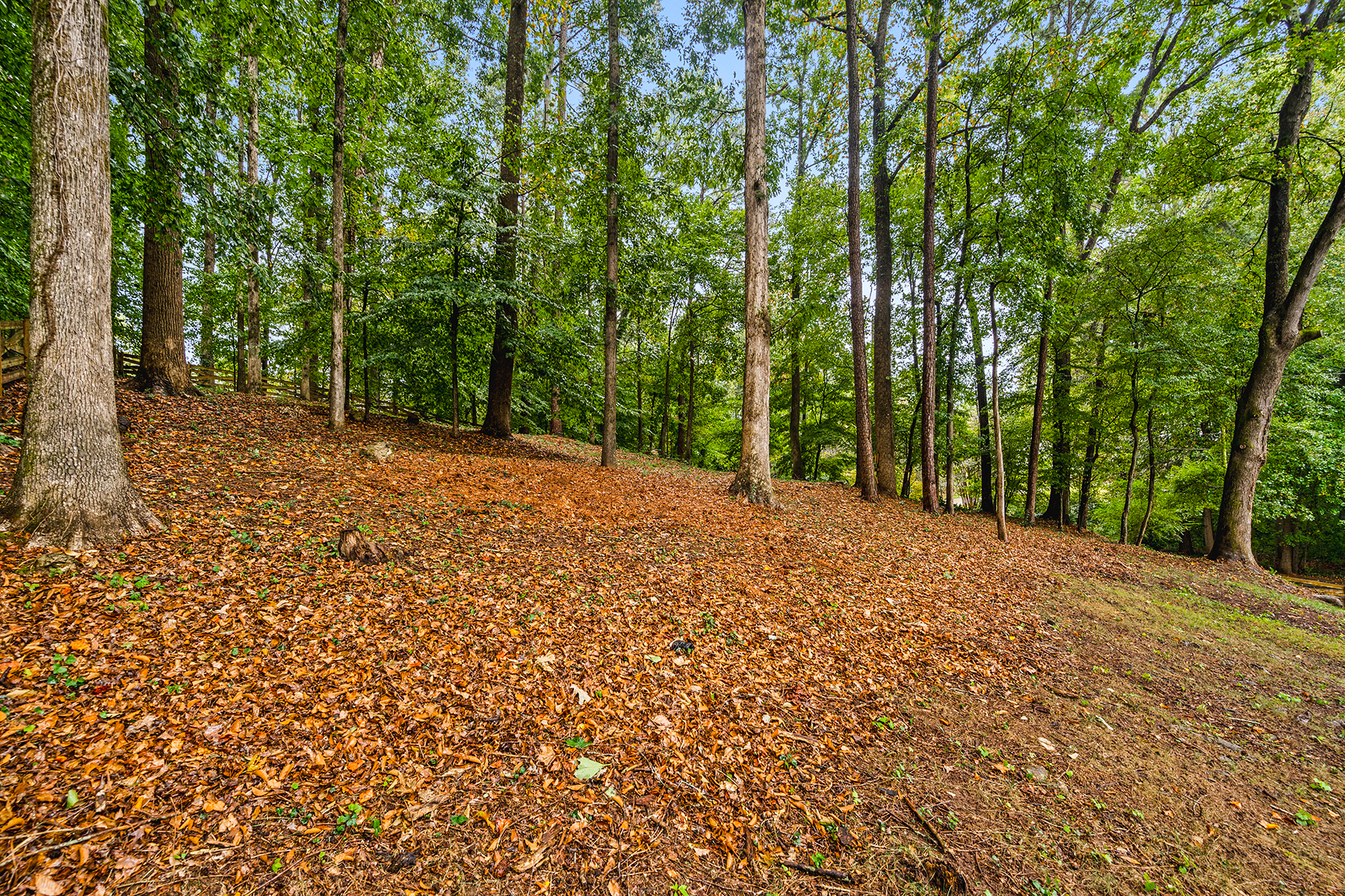  Beautifully Renovated Roswell Home Blends Contemporary Style with Classic Charm - 物件實景