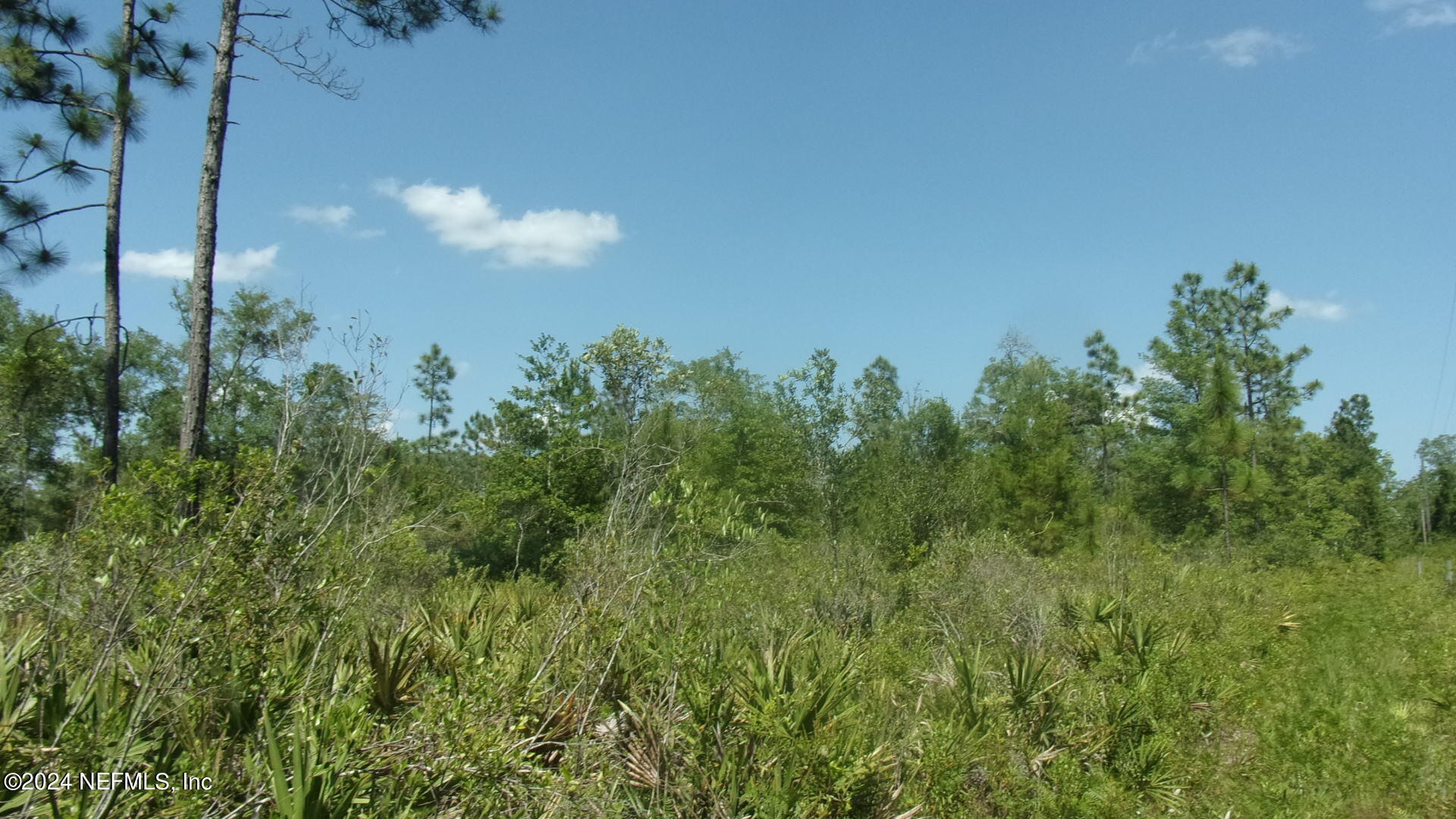 Palatka, Florida, 32177, United States, ,Residential,For Sale,1924559