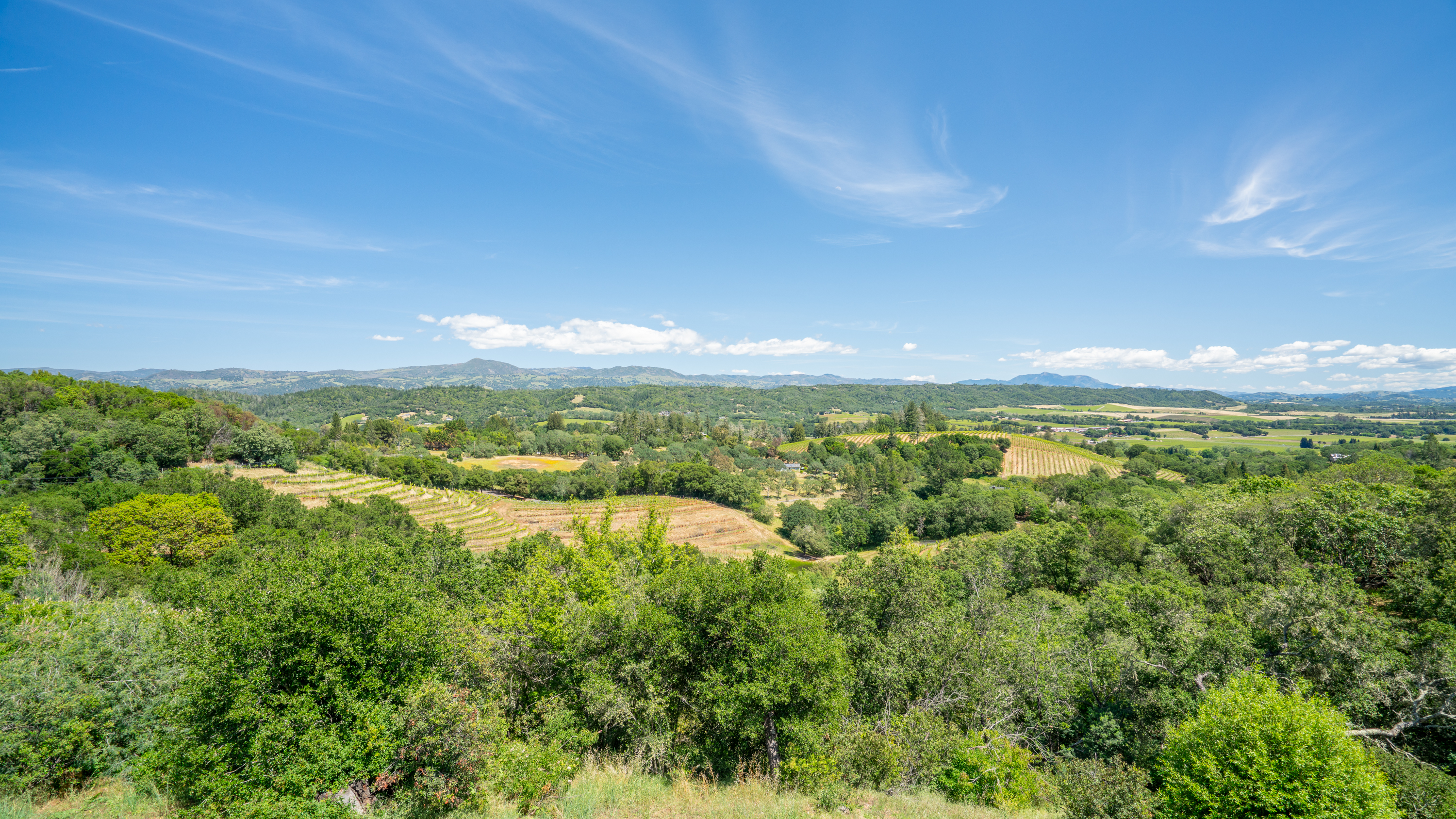  Quietly Exceptional Dry Creek Valley Estate - 物件實景