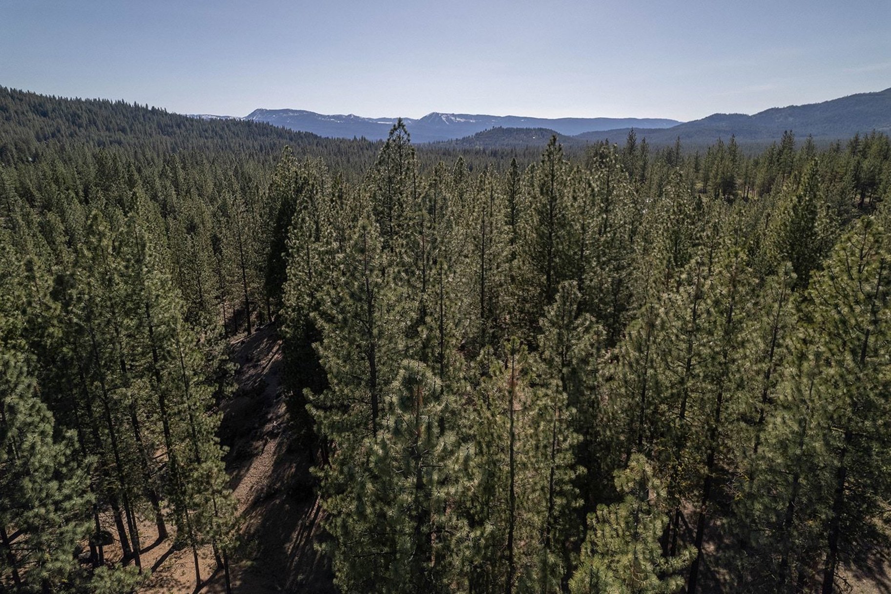  2.69 Private Acres in Nakoma with Stunning Eureka Peak Views - 物件實景
