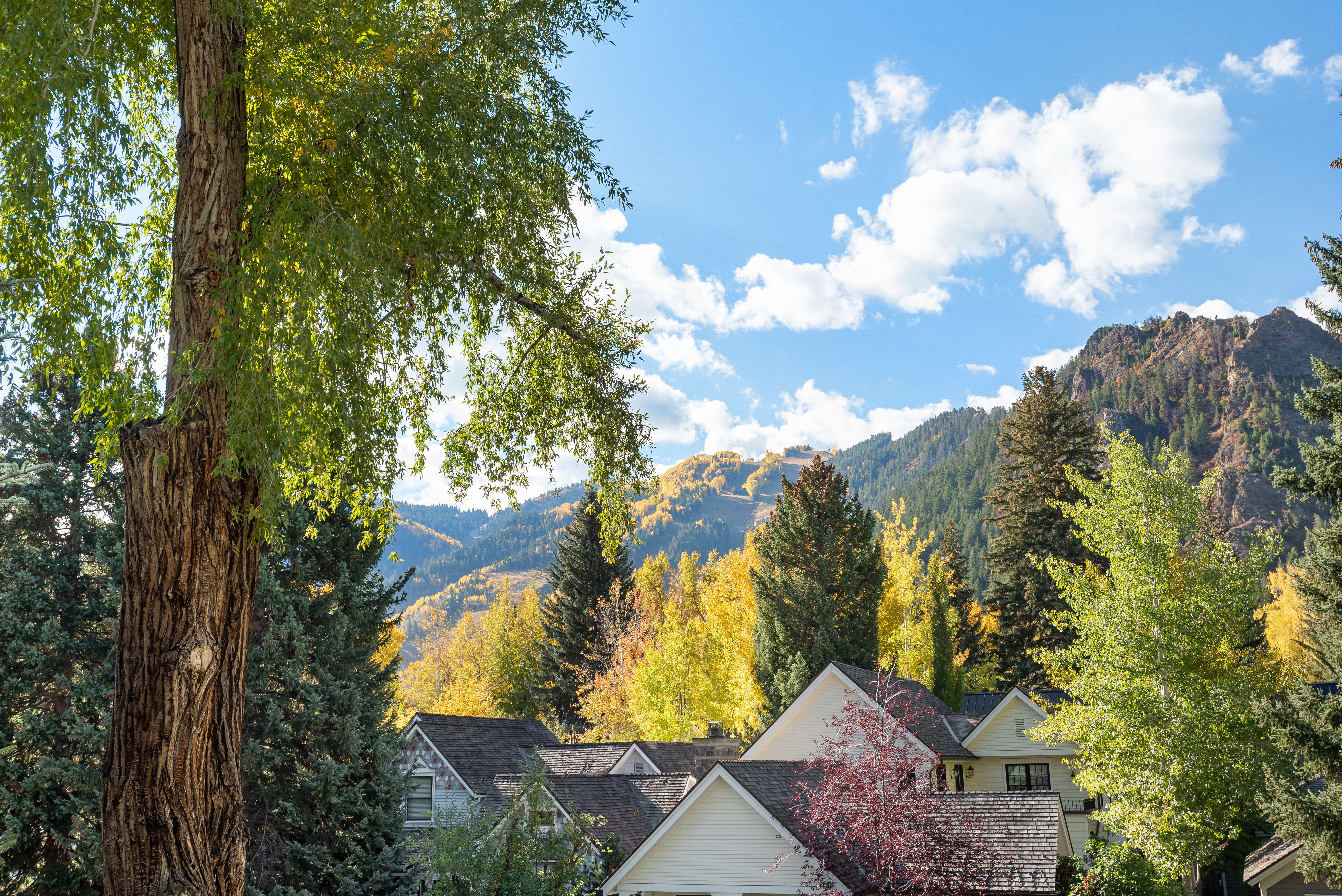  530 West Francis Street, Aspen, CO 81611 - 物件實景