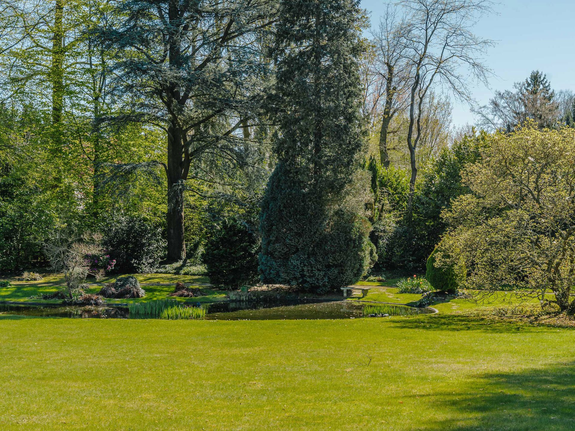  Rhode-Saint-Genèse I Forêt de Soignes - 物件實景